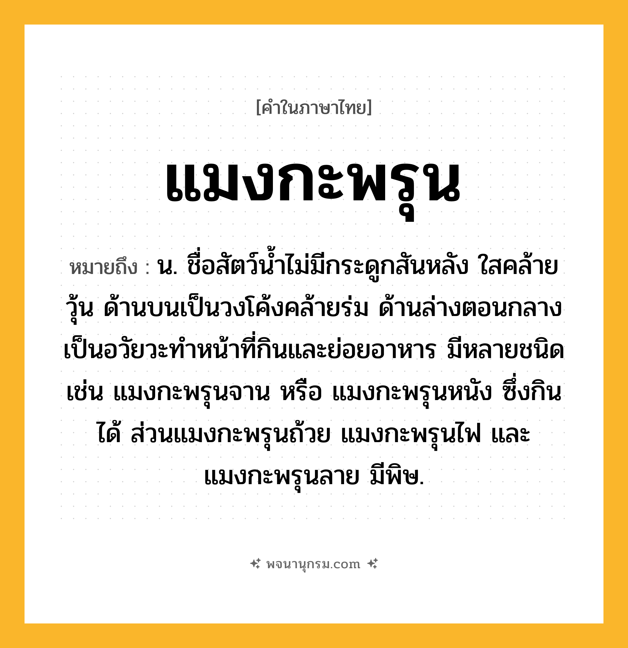 แมงกะพรุน ความหมาย หมายถึงอะไร?, คำในภาษาไทย แมงกะพรุน หมายถึง น. ชื่อสัตว์นํ้าไม่มีกระดูกสันหลัง ใสคล้ายวุ้น ด้านบนเป็นวงโค้งคล้ายร่ม ด้านล่างตอนกลางเป็นอวัยวะทําหน้าที่กินและย่อยอาหาร มีหลายชนิด เช่น แมงกะพรุนจาน หรือ แมงกะพรุนหนัง ซึ่งกินได้ ส่วนแมงกะพรุนถ้วย แมงกะพรุนไฟ และแมงกะพรุนลาย มีพิษ.