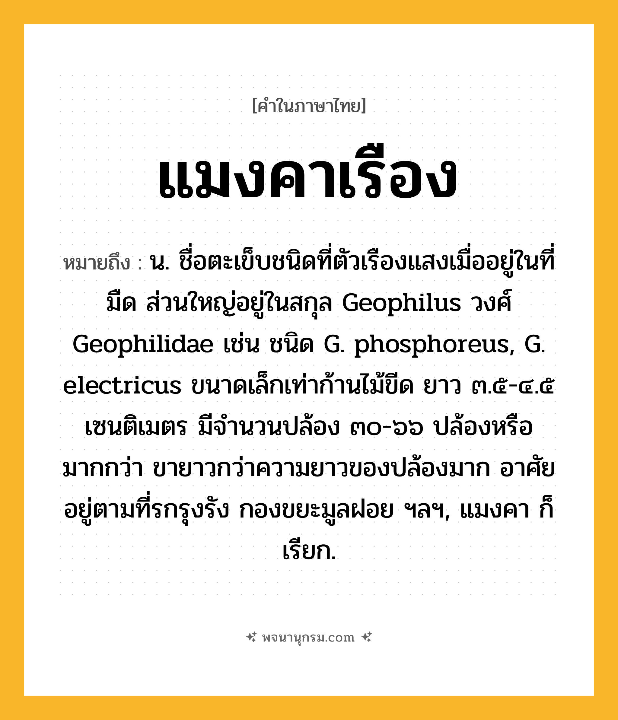 แมงคาเรือง ความหมาย หมายถึงอะไร?, คำในภาษาไทย แมงคาเรือง หมายถึง น. ชื่อตะเข็บชนิดที่ตัวเรืองแสงเมื่ออยู่ในที่มืด ส่วนใหญ่อยู่ในสกุล Geophilus วงศ์ Geophilidae เช่น ชนิด G. phosphoreus, G. electricus ขนาดเล็กเท่าก้านไม้ขีด ยาว ๓.๕-๔.๕ เซนติเมตร มีจํานวนปล้อง ๓๐-๖๖ ปล้องหรือมากกว่า ขายาวกว่าความยาวของปล้องมาก อาศัยอยู่ตามที่รกรุงรัง กองขยะมูลฝอย ฯลฯ, แมงคา ก็เรียก.