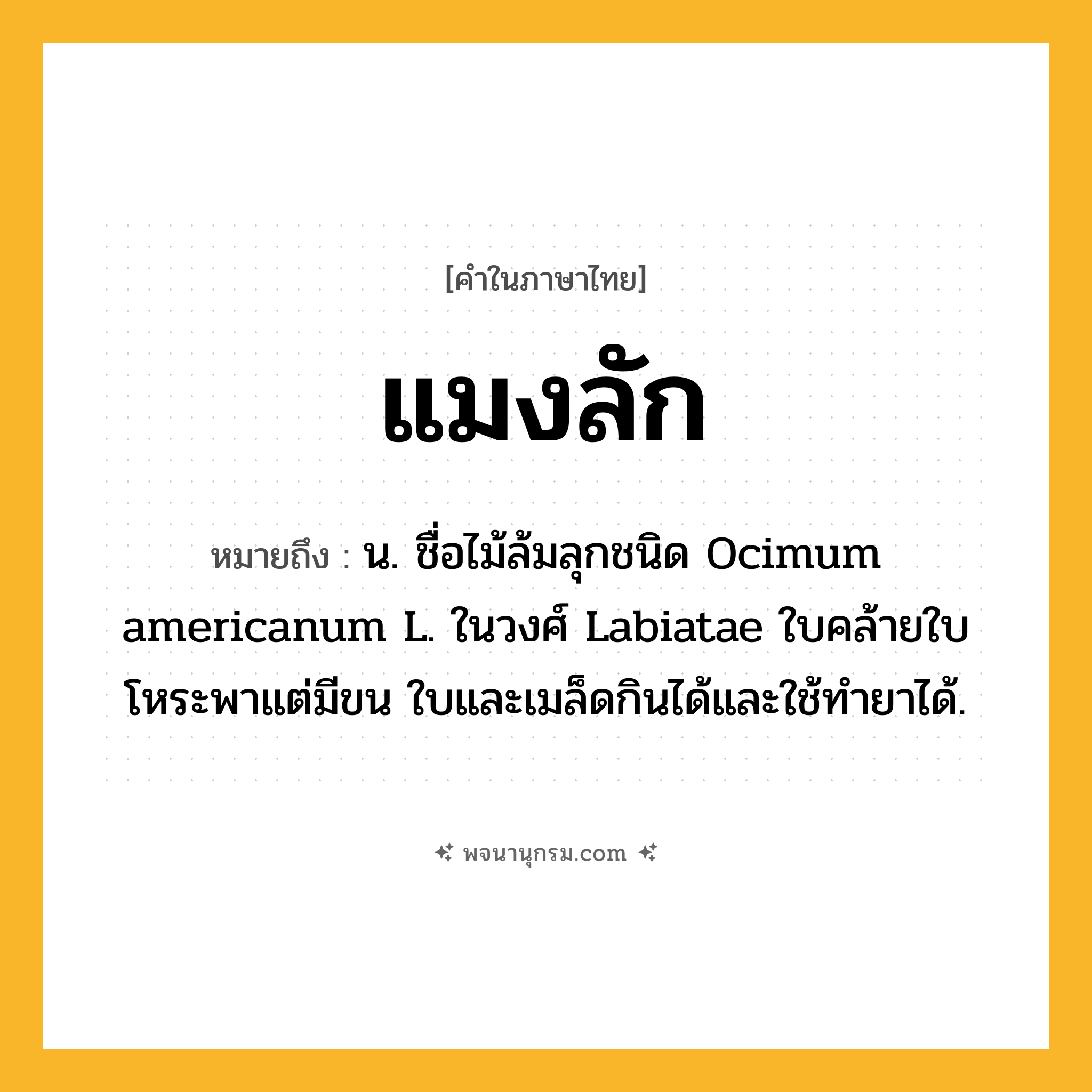 แมงลัก ความหมาย หมายถึงอะไร?, คำในภาษาไทย แมงลัก หมายถึง น. ชื่อไม้ล้มลุกชนิด Ocimum americanum L. ในวงศ์ Labiatae ใบคล้ายใบโหระพาแต่มีขน ใบและเมล็ดกินได้และใช้ทํายาได้.