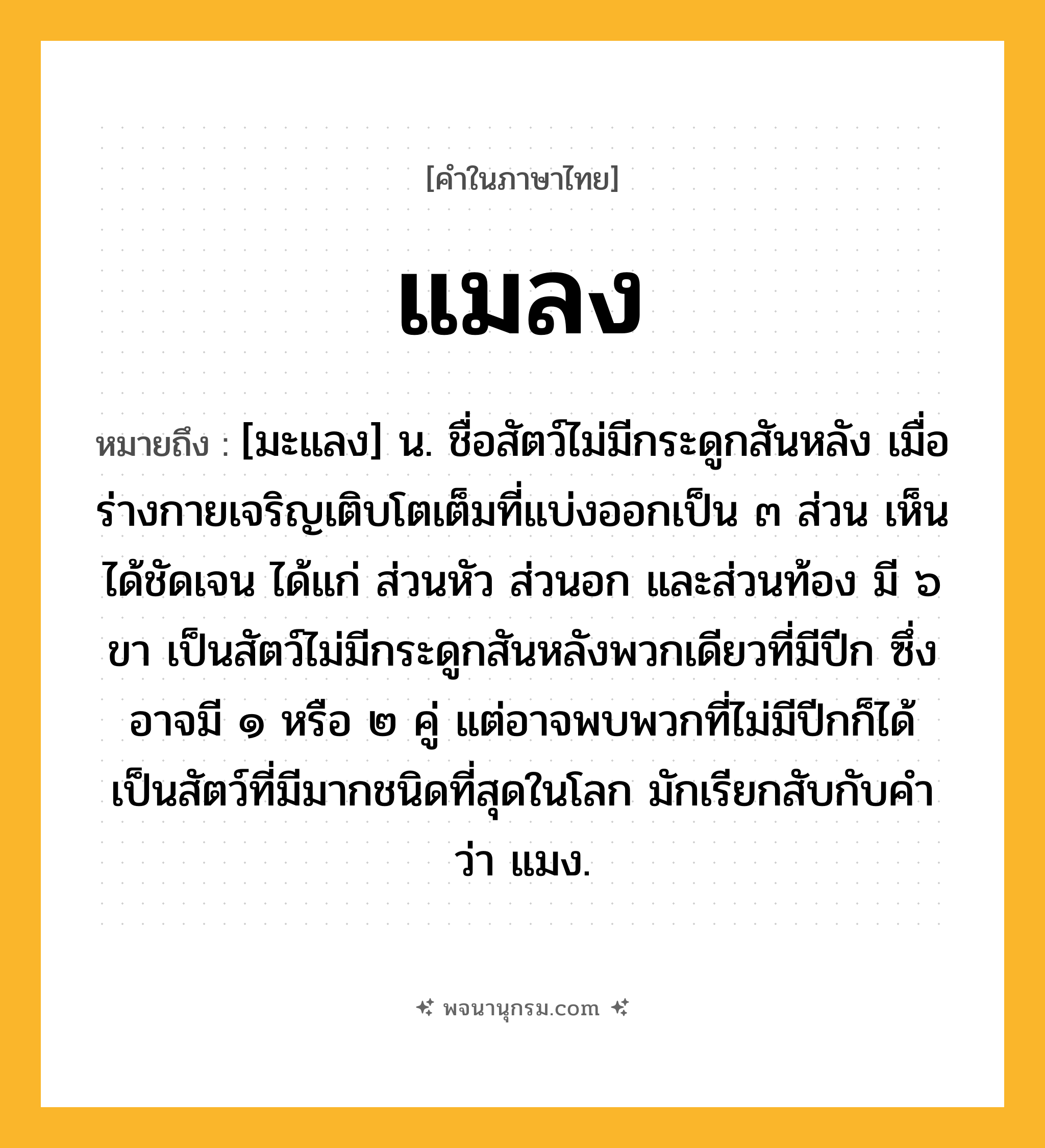 แมลง ความหมาย หมายถึงอะไร?, คำในภาษาไทย แมลง หมายถึง [มะแลง] น. ชื่อสัตว์ไม่มีกระดูกสันหลัง เมื่อร่างกายเจริญเติบโตเต็มที่แบ่งออกเป็น ๓ ส่วน เห็นได้ชัดเจน ได้แก่ ส่วนหัว ส่วนอก และส่วนท้อง มี ๖ ขา เป็นสัตว์ไม่มีกระดูกสันหลังพวกเดียวที่มีปีก ซึ่งอาจมี ๑ หรือ ๒ คู่ แต่อาจพบพวกที่ไม่มีปีกก็ได้ เป็นสัตว์ที่มีมากชนิดที่สุดในโลก มักเรียกสับกับคําว่า แมง.