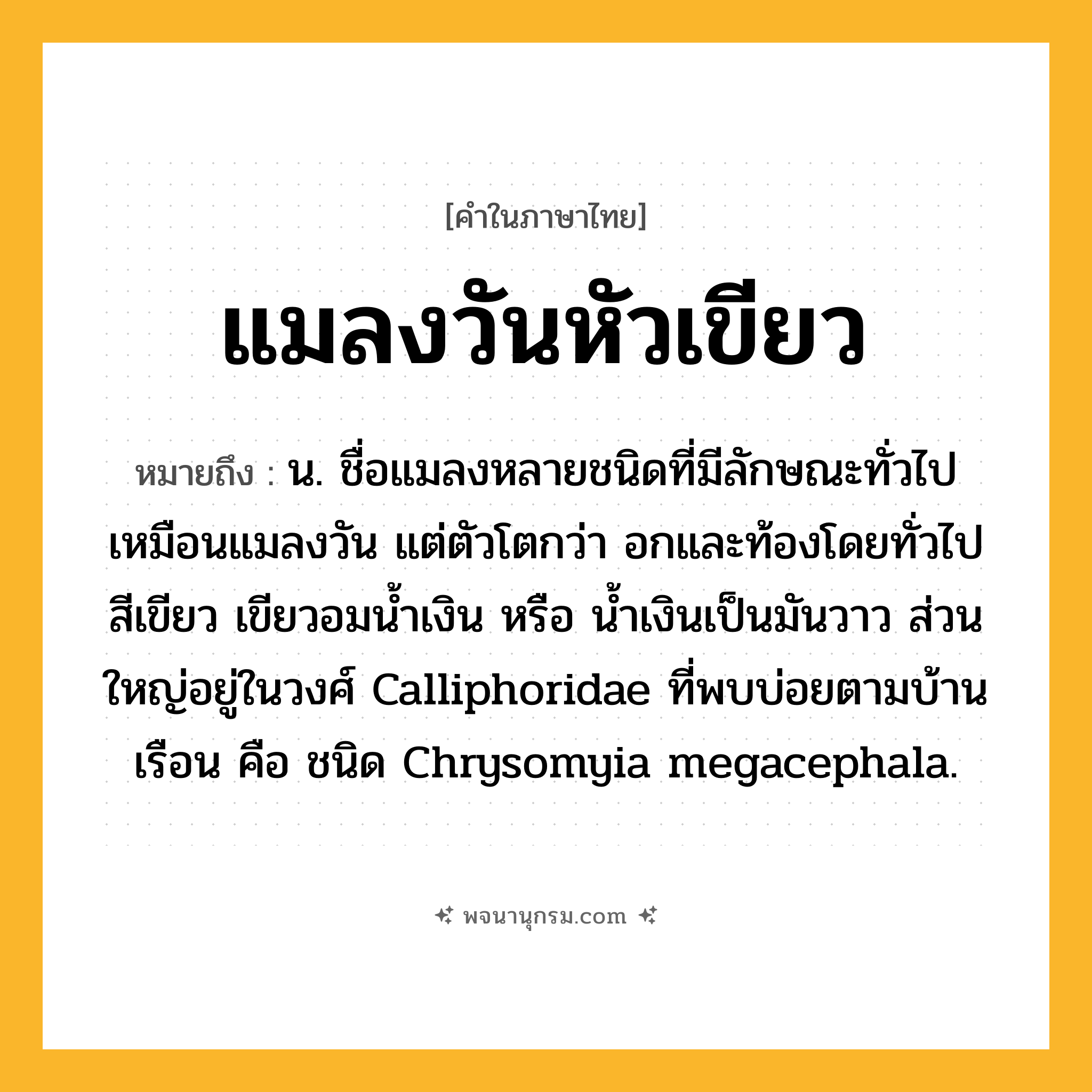 แมลงวันหัวเขียว ความหมาย หมายถึงอะไร?, คำในภาษาไทย แมลงวันหัวเขียว หมายถึง น. ชื่อแมลงหลายชนิดที่มีลักษณะทั่วไปเหมือนแมลงวัน แต่ตัวโตกว่า อกและท้องโดยทั่วไปสีเขียว เขียวอมนํ้าเงิน หรือ นํ้าเงินเป็นมันวาว ส่วนใหญ่อยู่ในวงศ์ Calliphoridae ที่พบบ่อยตามบ้านเรือน คือ ชนิด Chrysomyia megacephala.