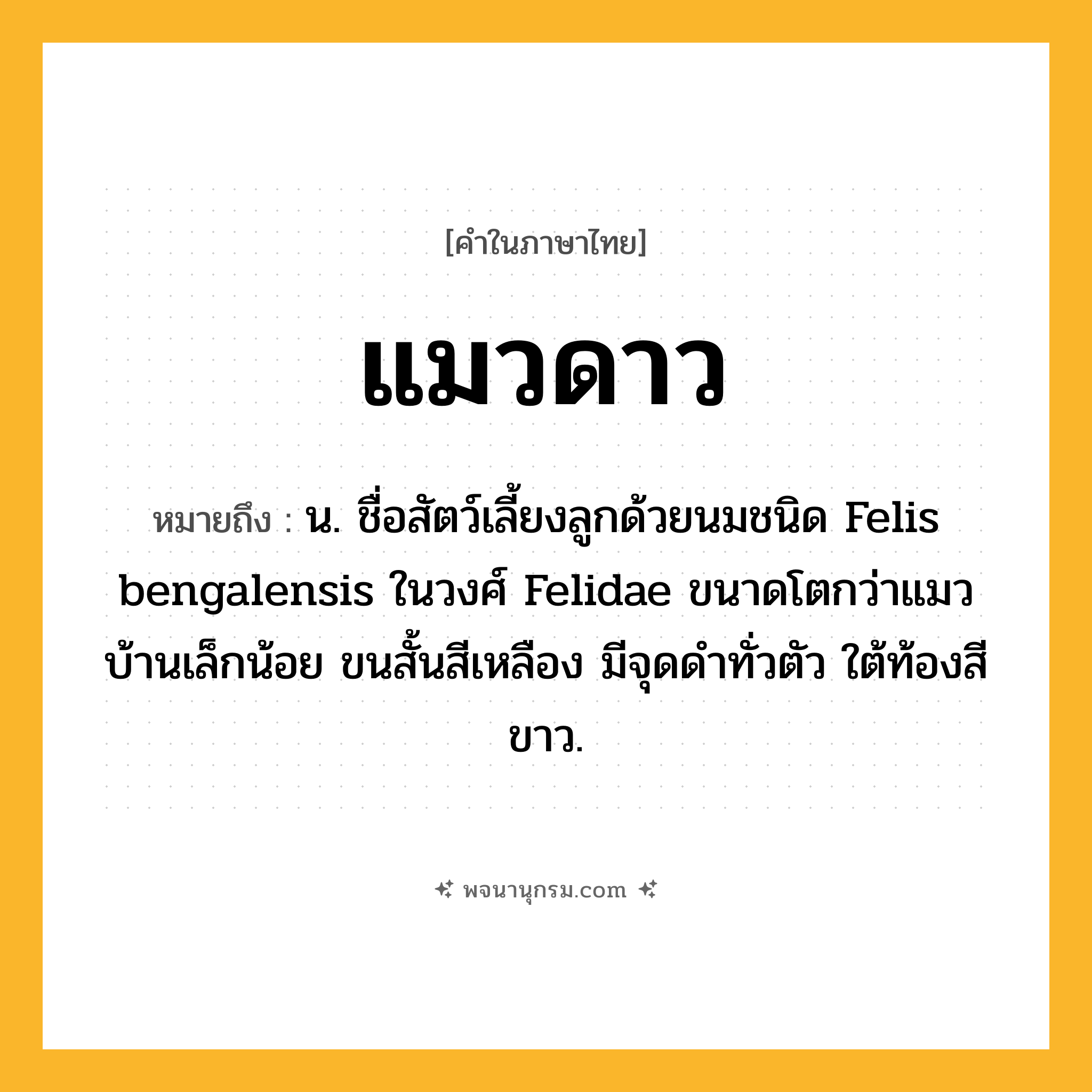 แมวดาว ความหมาย หมายถึงอะไร?, คำในภาษาไทย แมวดาว หมายถึง น. ชื่อสัตว์เลี้ยงลูกด้วยนมชนิด Felis bengalensis ในวงศ์ Felidae ขนาดโตกว่าแมวบ้านเล็กน้อย ขนสั้นสีเหลือง มีจุดดําทั่วตัว ใต้ท้องสีขาว.