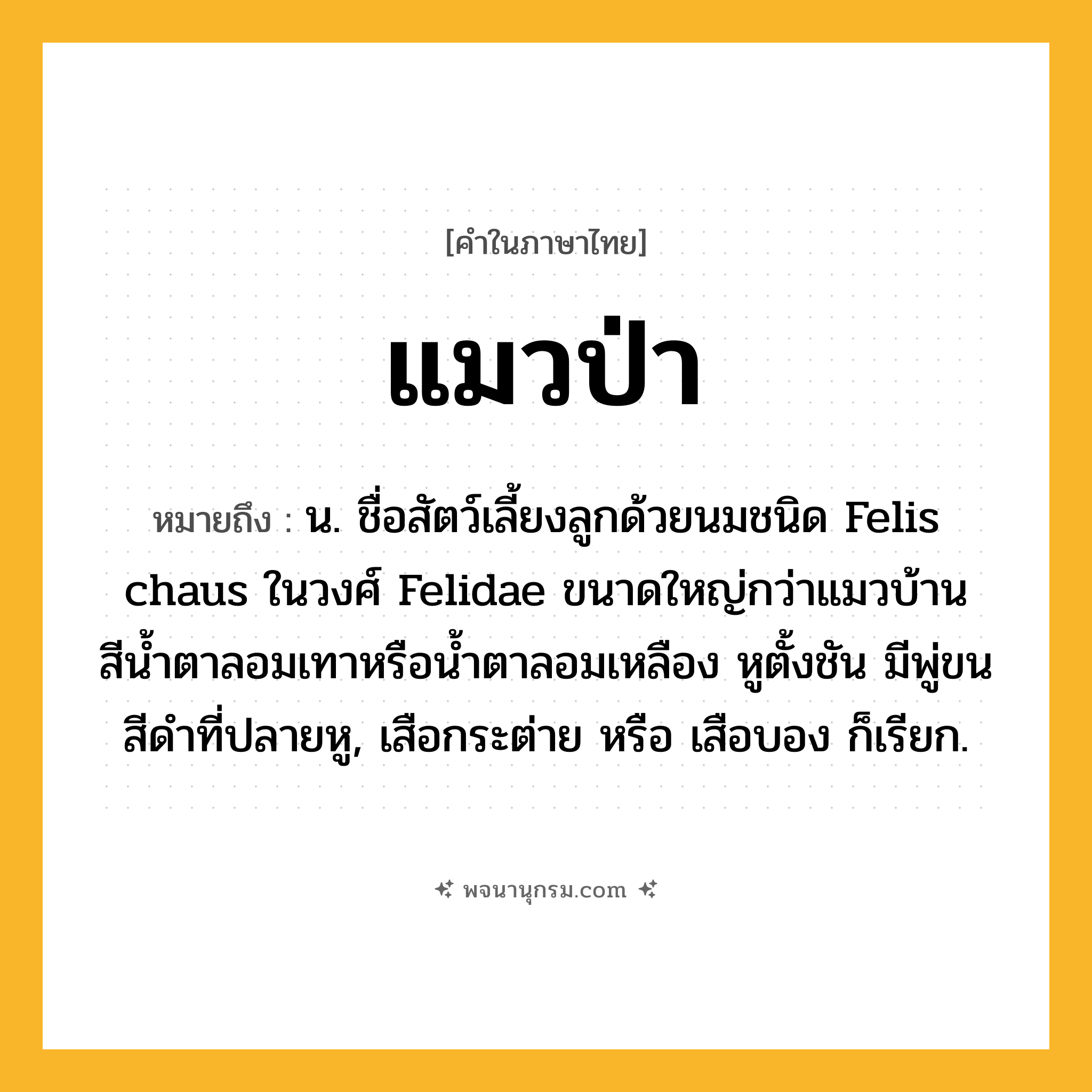แมวป่า ความหมาย หมายถึงอะไร?, คำในภาษาไทย แมวป่า หมายถึง น. ชื่อสัตว์เลี้ยงลูกด้วยนมชนิด Felis chaus ในวงศ์ Felidae ขนาดใหญ่กว่าแมวบ้าน สีนํ้าตาลอมเทาหรือนํ้าตาลอมเหลือง หูตั้งชัน มีพู่ขนสีดําที่ปลายหู, เสือกระต่าย หรือ เสือบอง ก็เรียก.