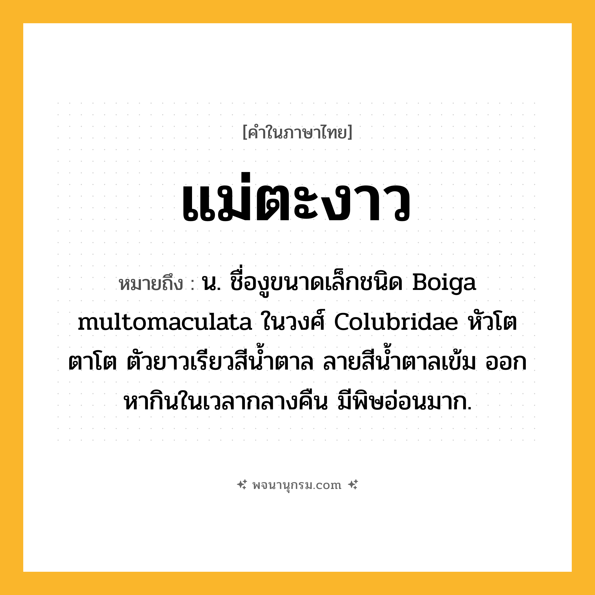 แม่ตะงาว ความหมาย หมายถึงอะไร?, คำในภาษาไทย แม่ตะงาว หมายถึง น. ชื่องูขนาดเล็กชนิด Boiga multomaculata ในวงศ์ Colubridae หัวโต ตาโต ตัวยาวเรียวสีนํ้าตาล ลายสีนํ้าตาลเข้ม ออกหากินในเวลากลางคืน มีพิษอ่อนมาก.