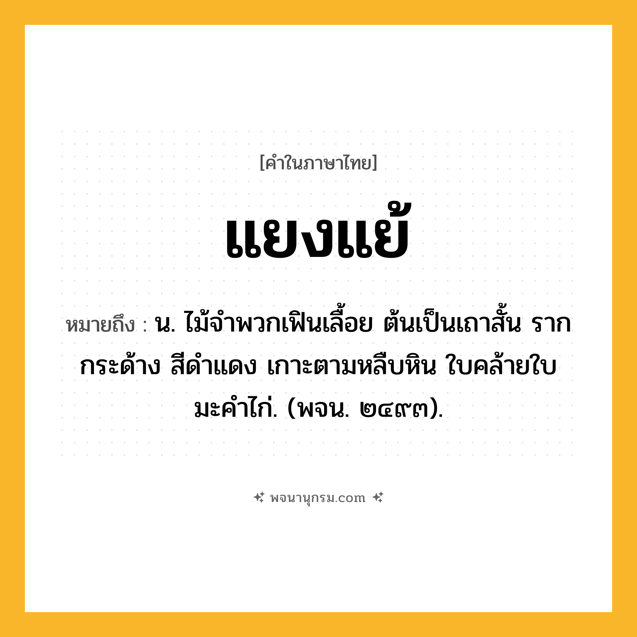 แยงแย้ ความหมาย หมายถึงอะไร?, คำในภาษาไทย แยงแย้ หมายถึง น. ไม้จําพวกเฟินเลื้อย ต้นเป็นเถาสั้น รากกระด้าง สีดําแดง เกาะตามหลืบหิน ใบคล้ายใบมะคําไก่. (พจน. ๒๔๙๓).