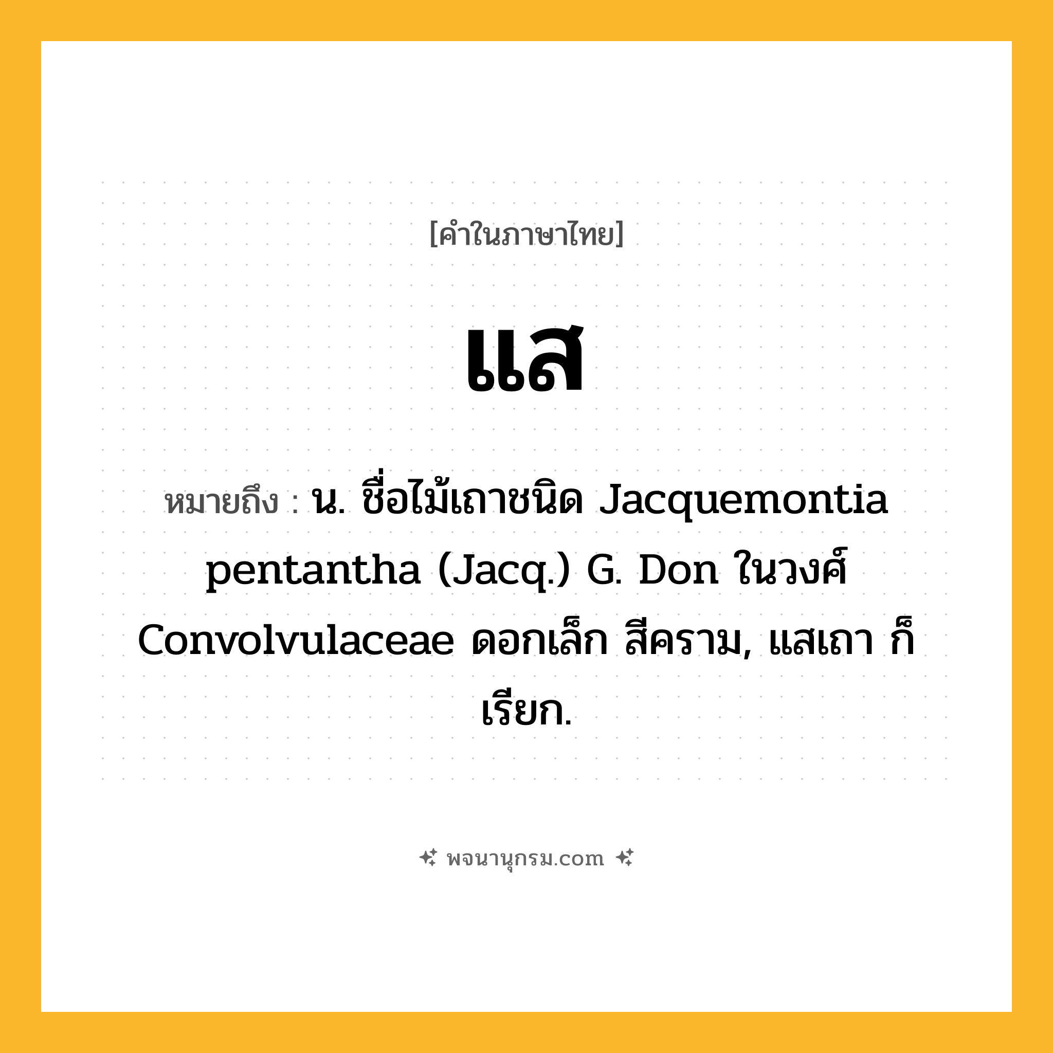 แส ความหมาย หมายถึงอะไร?, คำในภาษาไทย แส หมายถึง น. ชื่อไม้เถาชนิด Jacquemontia pentantha (Jacq.) G. Don ในวงศ์ Convolvulaceae ดอกเล็ก สีคราม, แสเถา ก็เรียก.