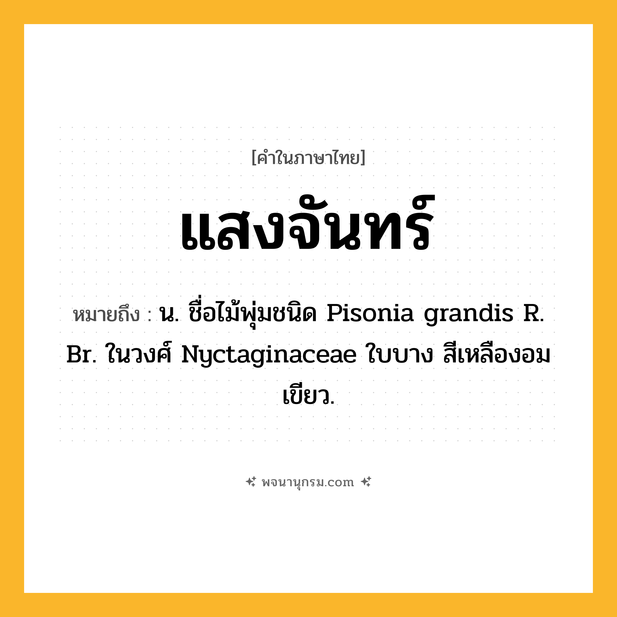 แสงจันทร์ ความหมาย หมายถึงอะไร?, คำในภาษาไทย แสงจันทร์ หมายถึง น. ชื่อไม้พุ่มชนิด Pisonia grandis R. Br. ในวงศ์ Nyctaginaceae ใบบาง สีเหลืองอมเขียว.