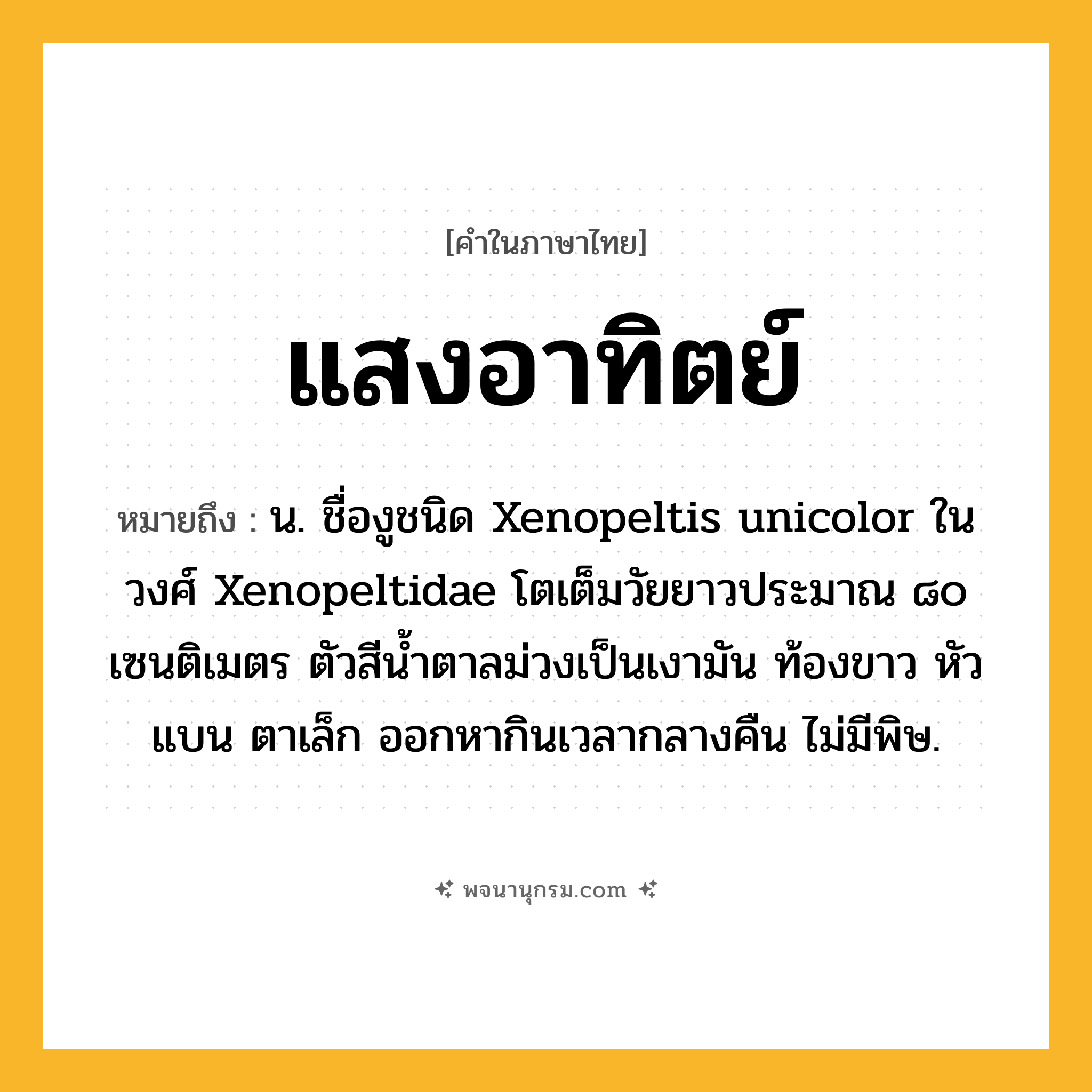 แสงอาทิตย์ ความหมาย หมายถึงอะไร?, คำในภาษาไทย แสงอาทิตย์ หมายถึง น. ชื่องูชนิด Xenopeltis unicolor ในวงศ์ Xenopeltidae โตเต็มวัยยาวประมาณ ๘๐ เซนติเมตร ตัวสีนํ้าตาลม่วงเป็นเงามัน ท้องขาว หัวแบน ตาเล็ก ออกหากินเวลากลางคืน ไม่มีพิษ.