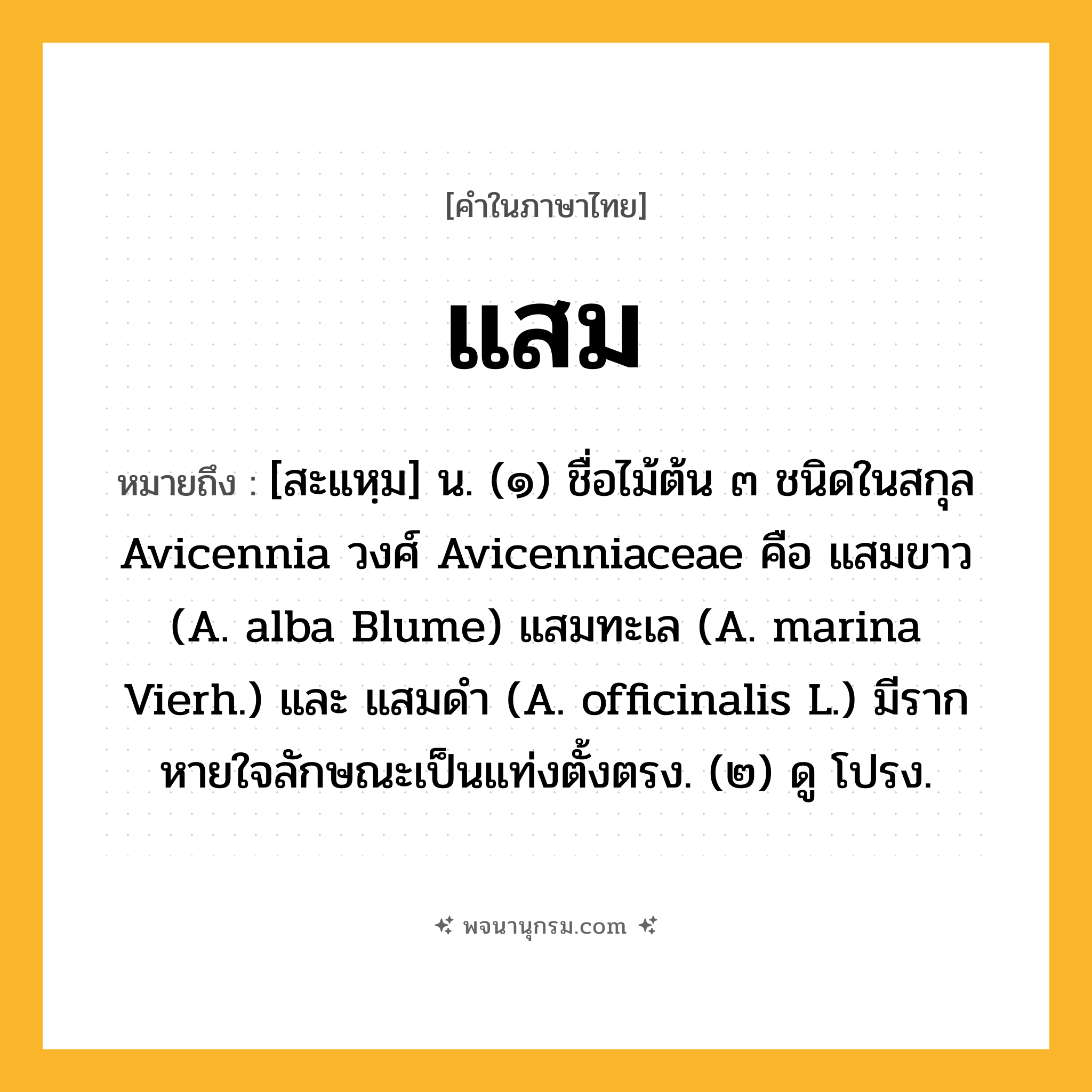 แสม ความหมาย หมายถึงอะไร?, คำในภาษาไทย แสม หมายถึง [สะแหฺม] น. (๑) ชื่อไม้ต้น ๓ ชนิดในสกุล Avicennia วงศ์ Avicenniaceae คือ แสมขาว (A. alba Blume) แสมทะเล (A. marina Vierh.) และ แสมดํา (A. officinalis L.) มีรากหายใจลักษณะเป็นแท่งตั้งตรง. (๒) ดู โปรง.