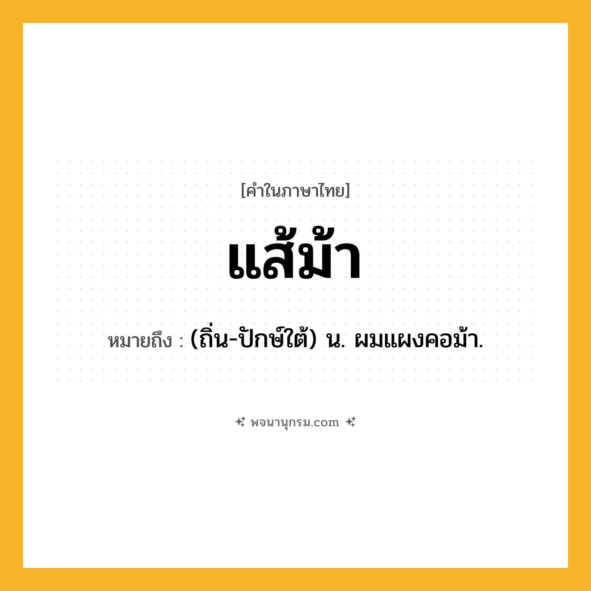 แส้ม้า ความหมาย หมายถึงอะไร?, คำในภาษาไทย แส้ม้า หมายถึง (ถิ่น-ปักษ์ใต้) น. ผมแผงคอม้า.
