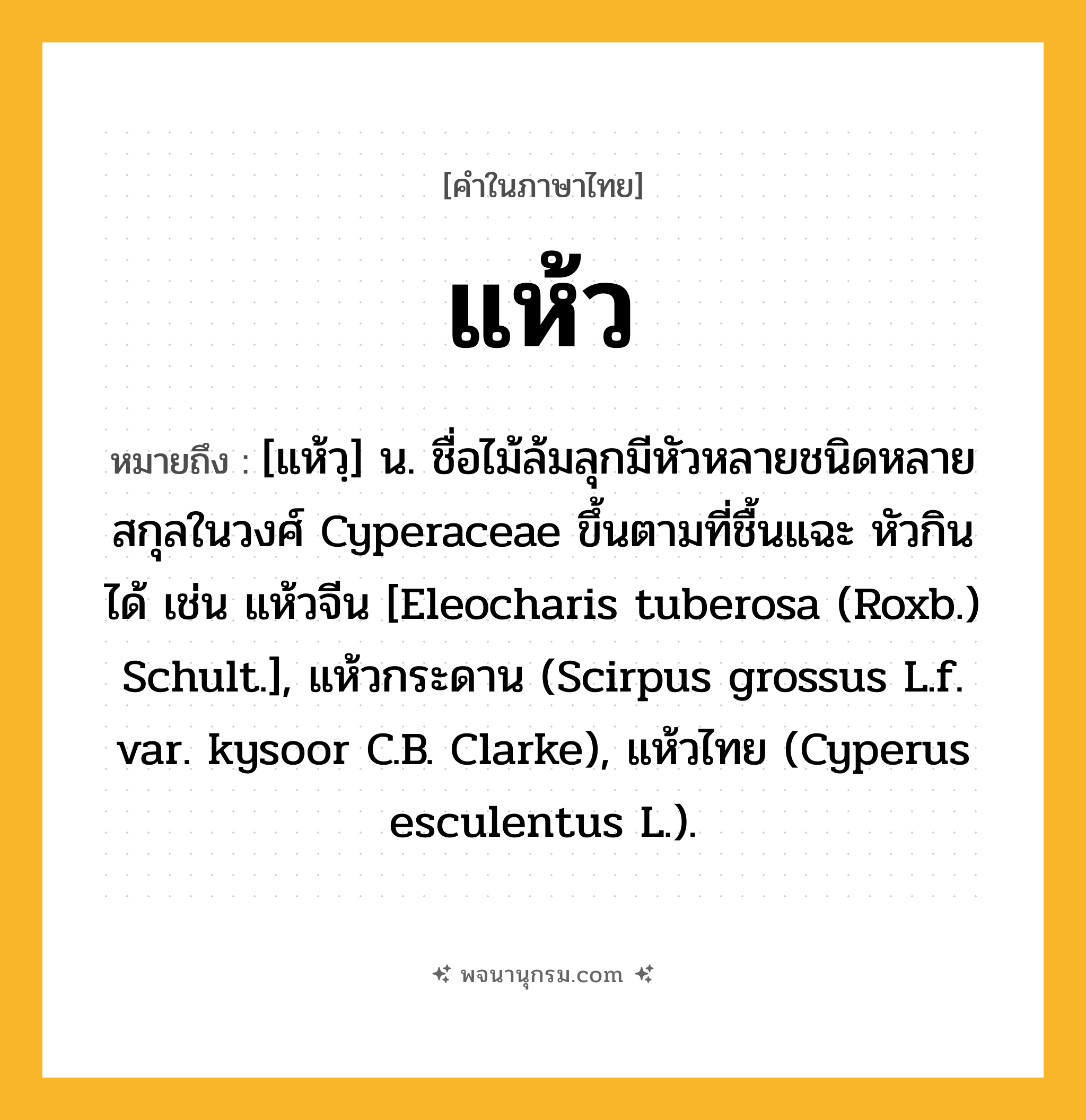 แห้ว ความหมาย หมายถึงอะไร?, คำในภาษาไทย แห้ว หมายถึง [แห้วฺ] น. ชื่อไม้ล้มลุกมีหัวหลายชนิดหลายสกุลในวงศ์ Cyperaceae ขึ้นตามที่ชื้นแฉะ หัวกินได้ เช่น แห้วจีน [Eleocharis tuberosa (Roxb.) Schult.], แห้วกระดาน (Scirpus grossus L.f. var. kysoor C.B. Clarke), แห้วไทย (Cyperus esculentus L.).