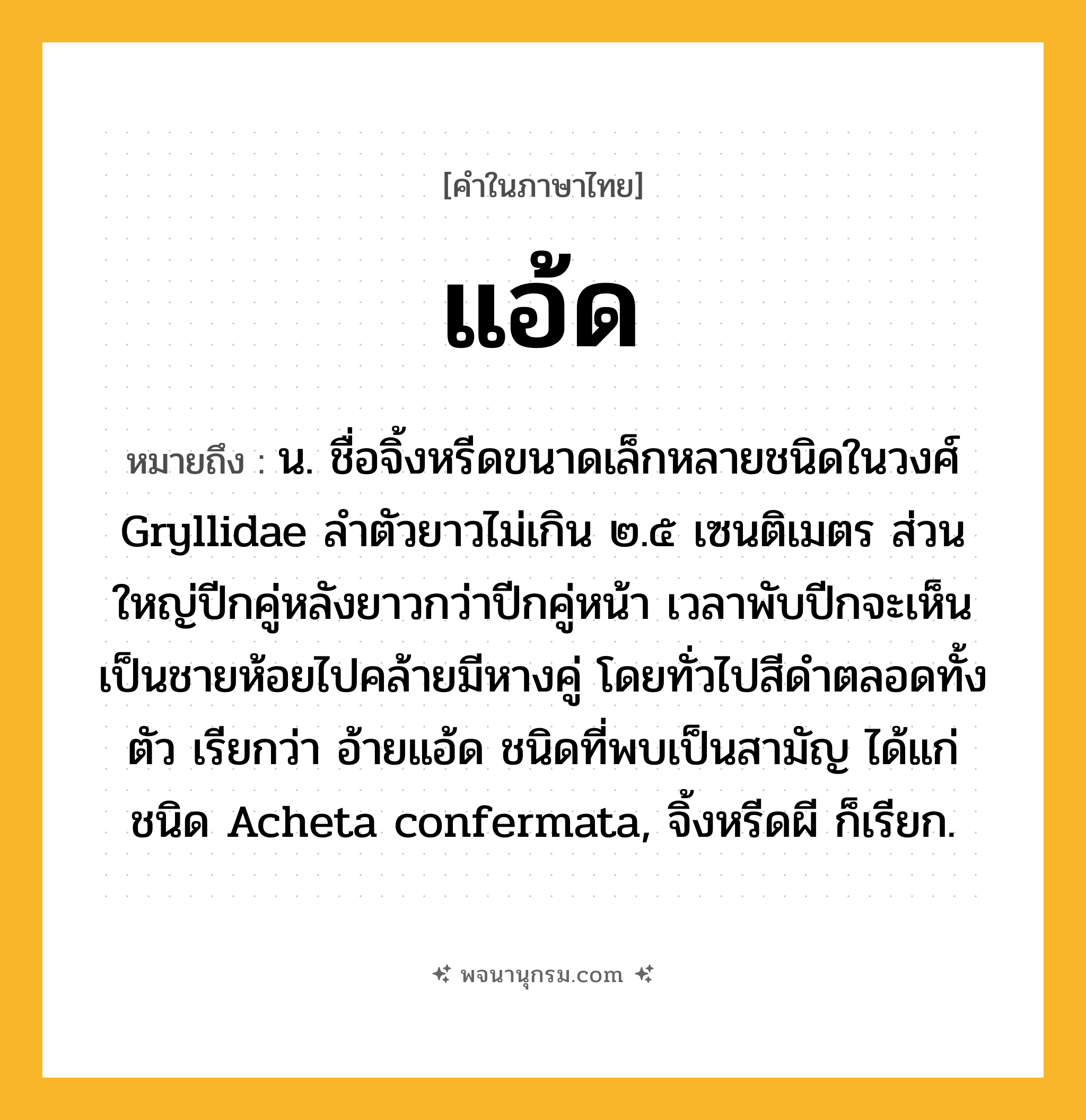 แอ้ด ความหมาย หมายถึงอะไร?, คำในภาษาไทย แอ้ด หมายถึง น. ชื่อจิ้งหรีดขนาดเล็กหลายชนิดในวงศ์ Gryllidae ลำตัวยาวไม่เกิน ๒.๕ เซนติเมตร ส่วนใหญ่ปีกคู่หลังยาวกว่าปีกคู่หน้า เวลาพับปีกจะเห็นเป็นชายห้อยไปคล้ายมีหางคู่ โดยทั่วไปสีดำตลอดทั้งตัว เรียกว่า อ้ายแอ้ด ชนิดที่พบเป็นสามัญ ได้แก่ ชนิด Acheta confermata, จิ้งหรีดผี ก็เรียก.