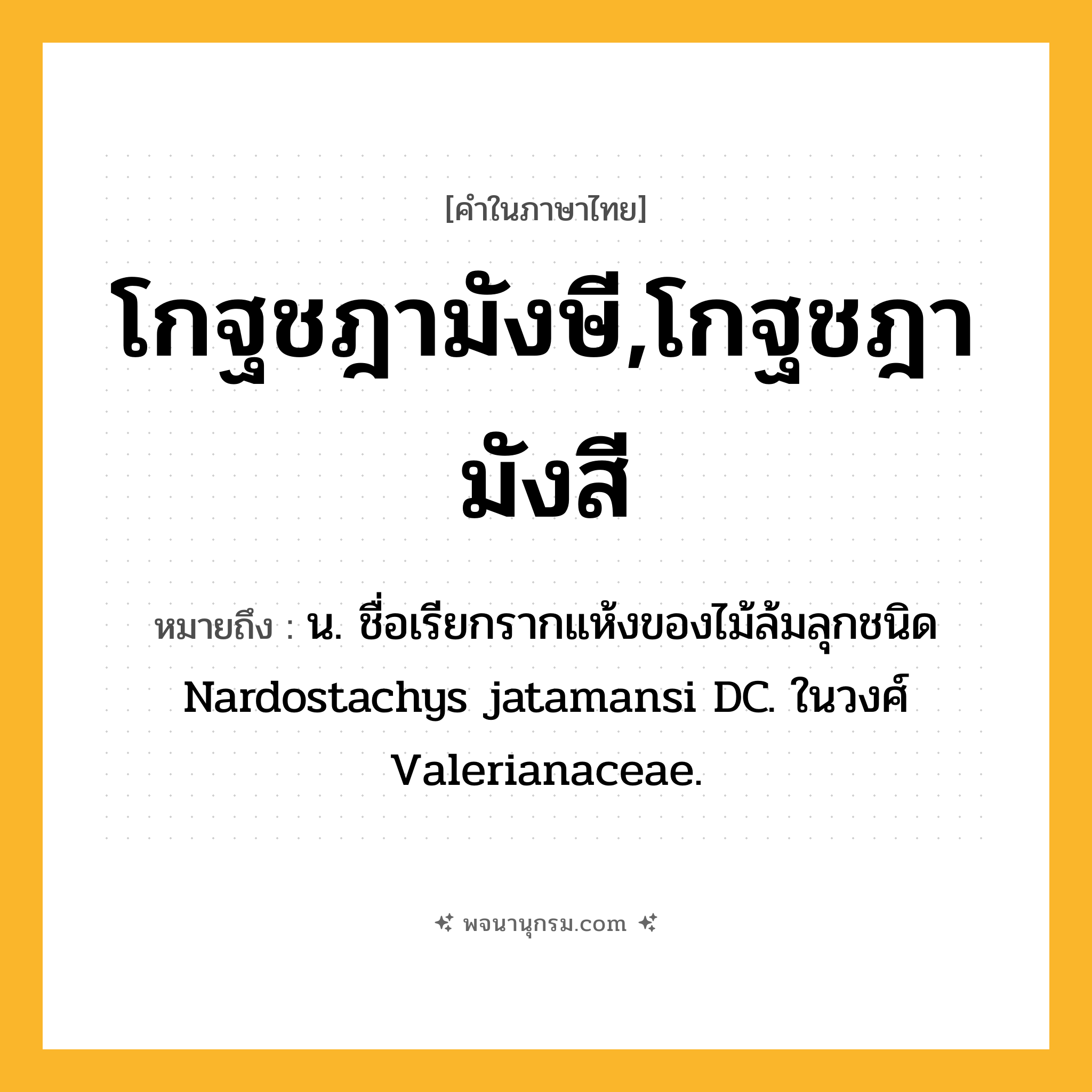 โกฐชฎามังษี,โกฐชฎามังสี ความหมาย หมายถึงอะไร?, คำในภาษาไทย โกฐชฎามังษี,โกฐชฎามังสี หมายถึง น. ชื่อเรียกรากแห้งของไม้ล้มลุกชนิด Nardostachys jatamansi DC. ในวงศ์ Valerianaceae.