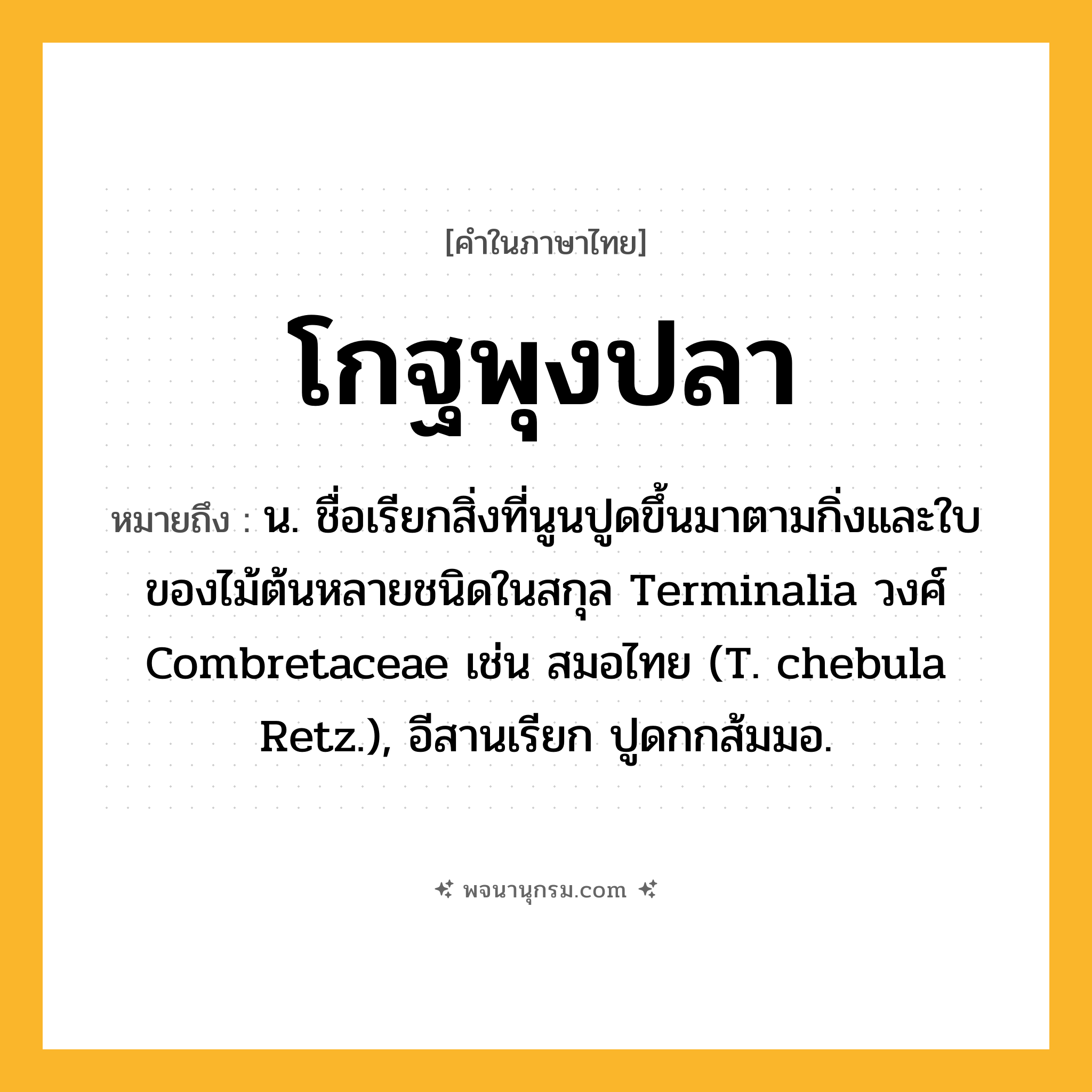 โกฐพุงปลา ความหมาย หมายถึงอะไร?, คำในภาษาไทย โกฐพุงปลา หมายถึง น. ชื่อเรียกสิ่งที่นูนปูดขึ้นมาตามกิ่งและใบของไม้ต้นหลายชนิดในสกุล Terminalia วงศ์ Combretaceae เช่น สมอไทย (T. chebula Retz.), อีสานเรียก ปูดกกส้มมอ.