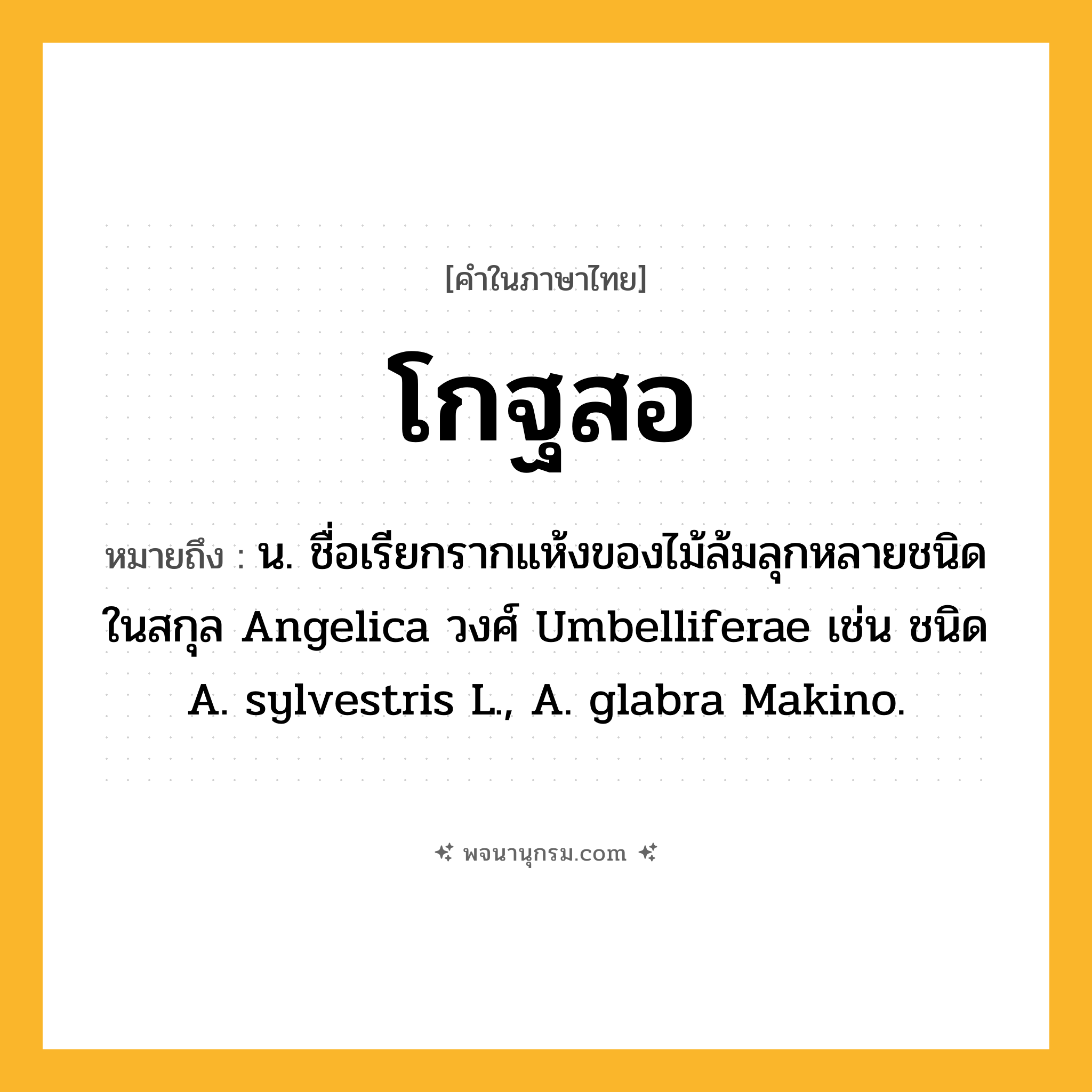 โกฐสอ ความหมาย หมายถึงอะไร?, คำในภาษาไทย โกฐสอ หมายถึง น. ชื่อเรียกรากแห้งของไม้ล้มลุกหลายชนิดในสกุล Angelica วงศ์ Umbelliferae เช่น ชนิด A. sylvestris L., A. glabra Makino.