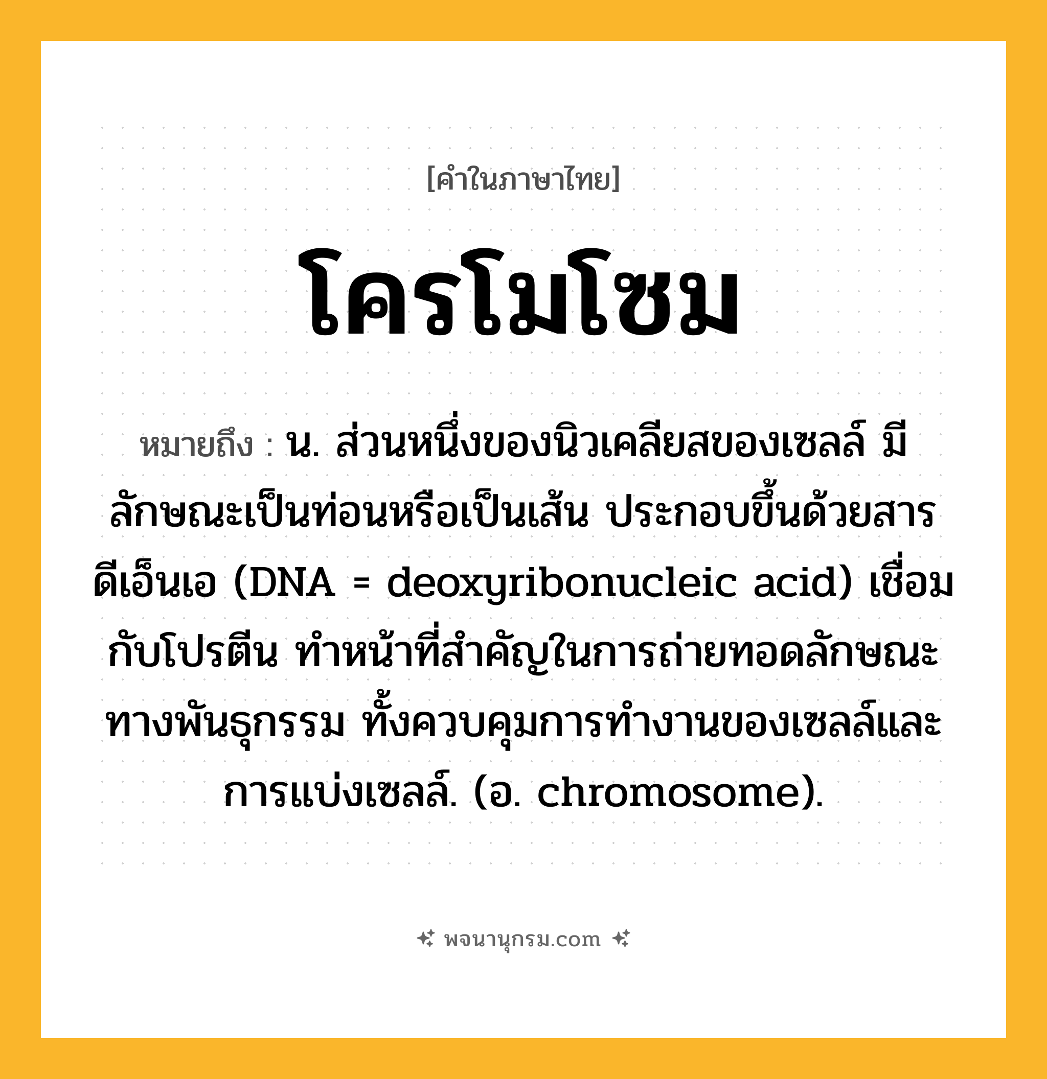 โครโมโซม ความหมาย หมายถึงอะไร?, คำในภาษาไทย โครโมโซม หมายถึง น. ส่วนหนึ่งของนิวเคลียสของเซลล์ มีลักษณะเป็นท่อนหรือเป็นเส้น ประกอบขึ้นด้วยสารดีเอ็นเอ (DNA = deoxyribonucleic acid) เชื่อมกับโปรตีน ทําหน้าที่สําคัญในการถ่ายทอดลักษณะทางพันธุกรรม ทั้งควบคุมการทํางานของเซลล์และการแบ่งเซลล์. (อ. chromosome).
