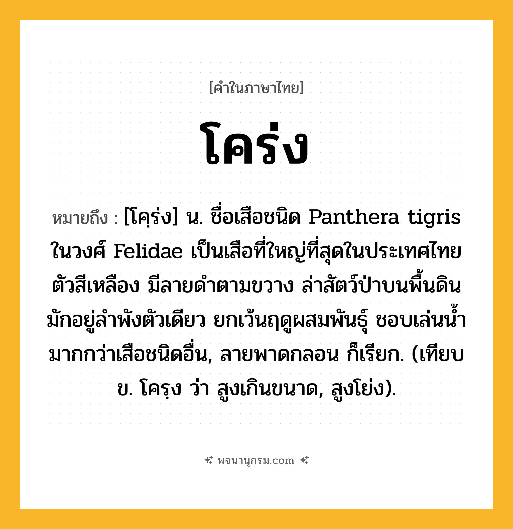 โคร่ง ความหมาย หมายถึงอะไร?, คำในภาษาไทย โคร่ง หมายถึง [โคฺร่ง] น. ชื่อเสือชนิด Panthera tigris ในวงศ์ Felidae เป็นเสือที่ใหญ่ที่สุดในประเทศไทย ตัวสีเหลือง มีลายดําตามขวาง ล่าสัตว์ป่าบนพื้นดิน มักอยู่ลําพังตัวเดียว ยกเว้นฤดูผสมพันธุ์ ชอบเล่นนํ้ามากกว่าเสือชนิดอื่น, ลายพาดกลอน ก็เรียก. (เทียบ ข. โครฺง ว่า สูงเกินขนาด, สูงโย่ง).
