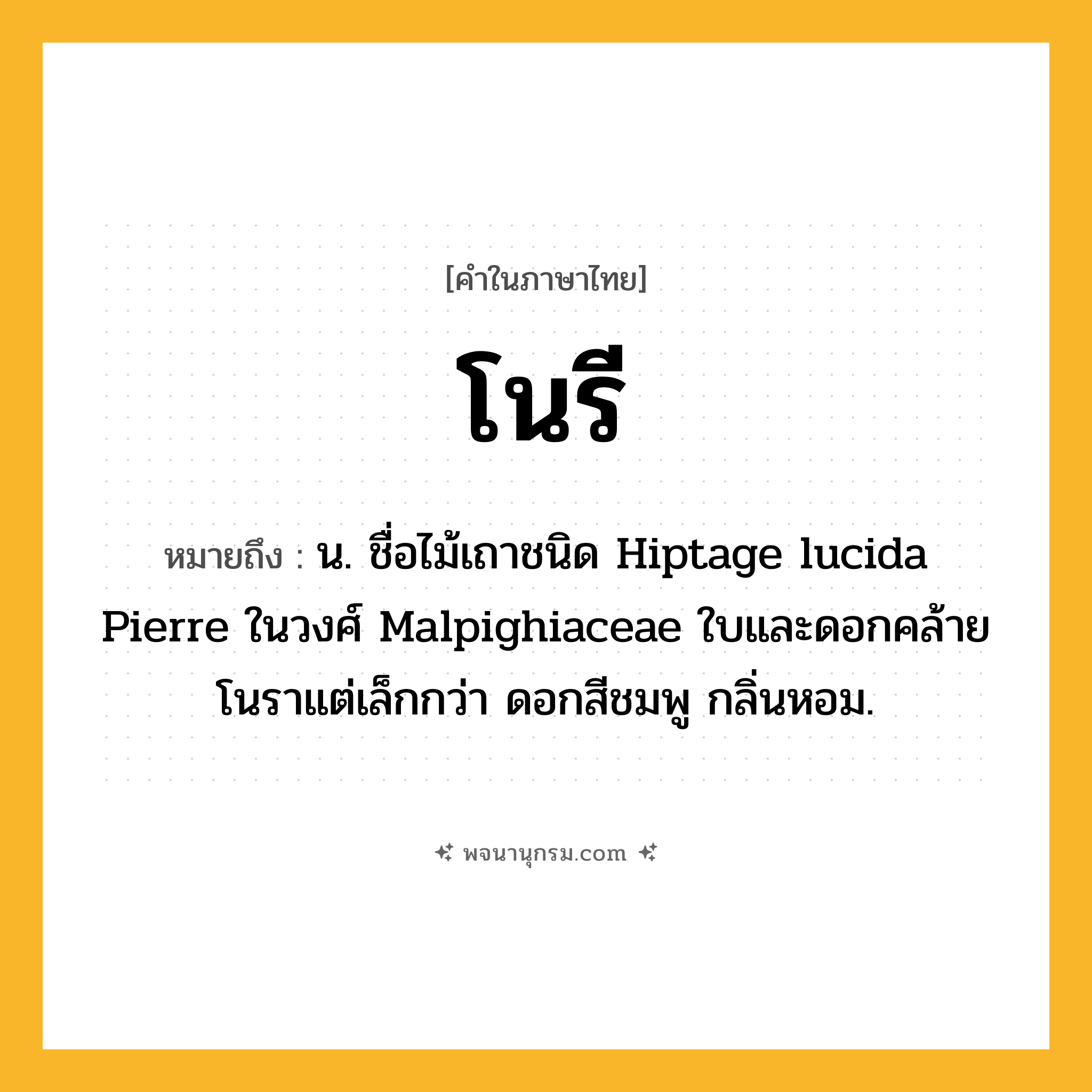 โนรี ความหมาย หมายถึงอะไร?, คำในภาษาไทย โนรี หมายถึง น. ชื่อไม้เถาชนิด Hiptage lucida Pierre ในวงศ์ Malpighiaceae ใบและดอกคล้ายโนราแต่เล็กกว่า ดอกสีชมพู กลิ่นหอม.