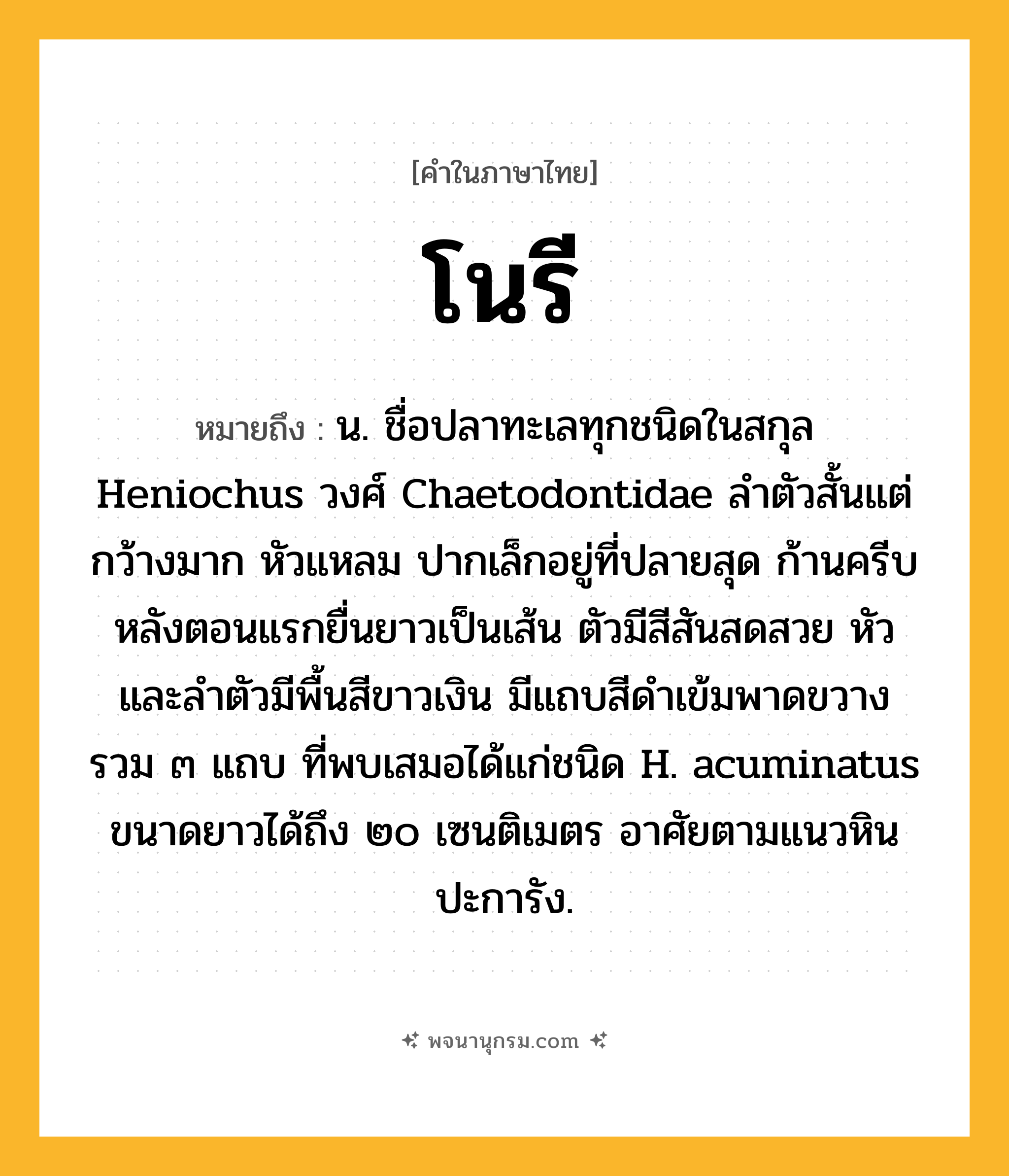 โนรี ความหมาย หมายถึงอะไร?, คำในภาษาไทย โนรี หมายถึง น. ชื่อปลาทะเลทุกชนิดในสกุล Heniochus วงศ์ Chaetodontidae ลําตัวสั้นแต่กว้างมาก หัวแหลม ปากเล็กอยู่ที่ปลายสุด ก้านครีบหลังตอนแรกยื่นยาวเป็นเส้น ตัวมีสีสันสดสวย หัวและลําตัวมีพื้นสีขาวเงิน มีแถบสีดําเข้มพาดขวางรวม ๓ แถบ ที่พบเสมอได้แก่ชนิด H. acuminatus ขนาดยาวได้ถึง ๒๐ เซนติเมตร อาศัยตามแนวหินปะการัง.