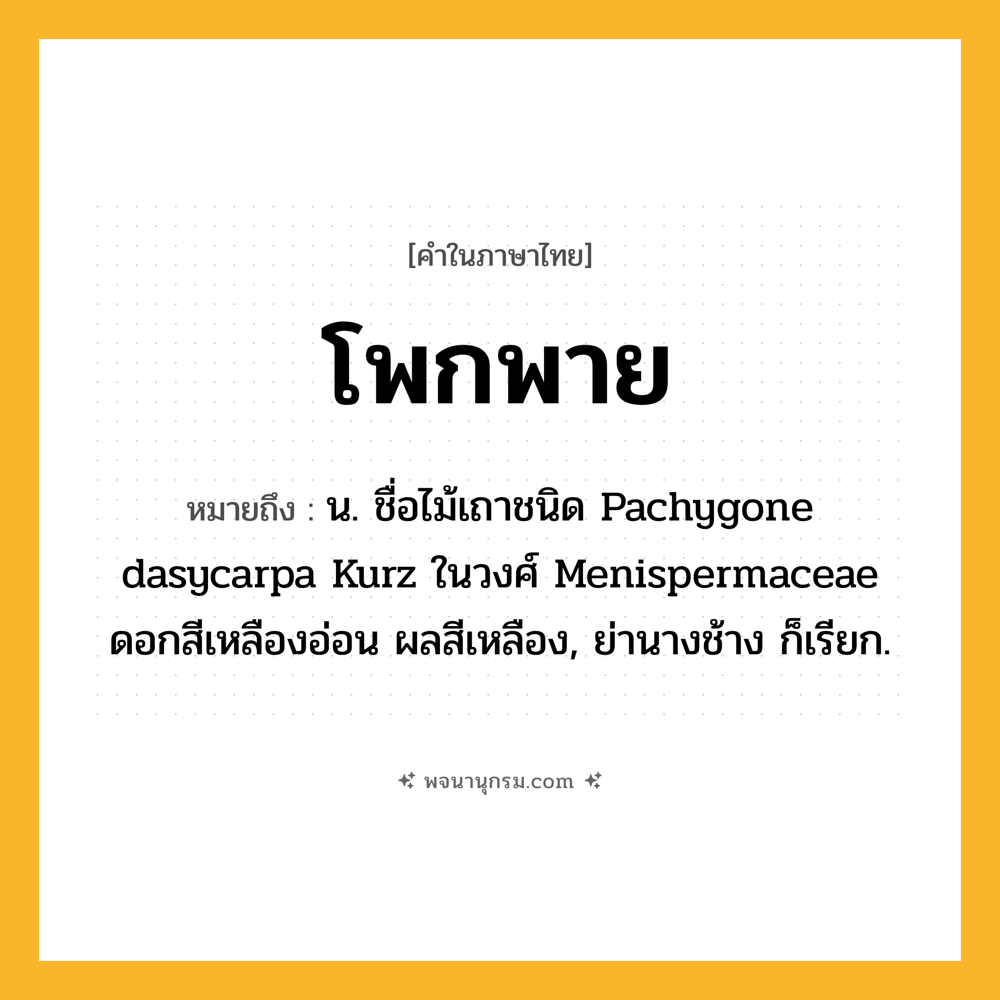 โพกพาย ความหมาย หมายถึงอะไร?, คำในภาษาไทย โพกพาย หมายถึง น. ชื่อไม้เถาชนิด Pachygone dasycarpa Kurz ในวงศ์ Menispermaceae ดอกสีเหลืองอ่อน ผลสีเหลือง, ย่านางช้าง ก็เรียก.