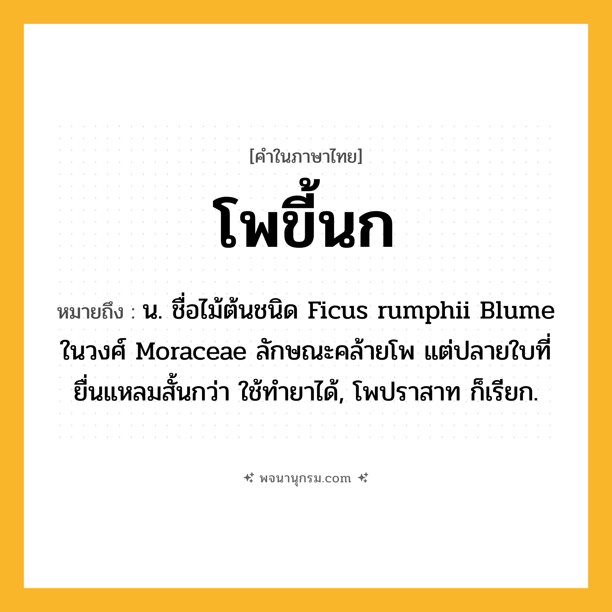 โพขี้นก ความหมาย หมายถึงอะไร?, คำในภาษาไทย โพขี้นก หมายถึง น. ชื่อไม้ต้นชนิด Ficus rumphii Blume ในวงศ์ Moraceae ลักษณะคล้ายโพ แต่ปลายใบที่ยื่นแหลมสั้นกว่า ใช้ทำยาได้, โพปราสาท ก็เรียก.