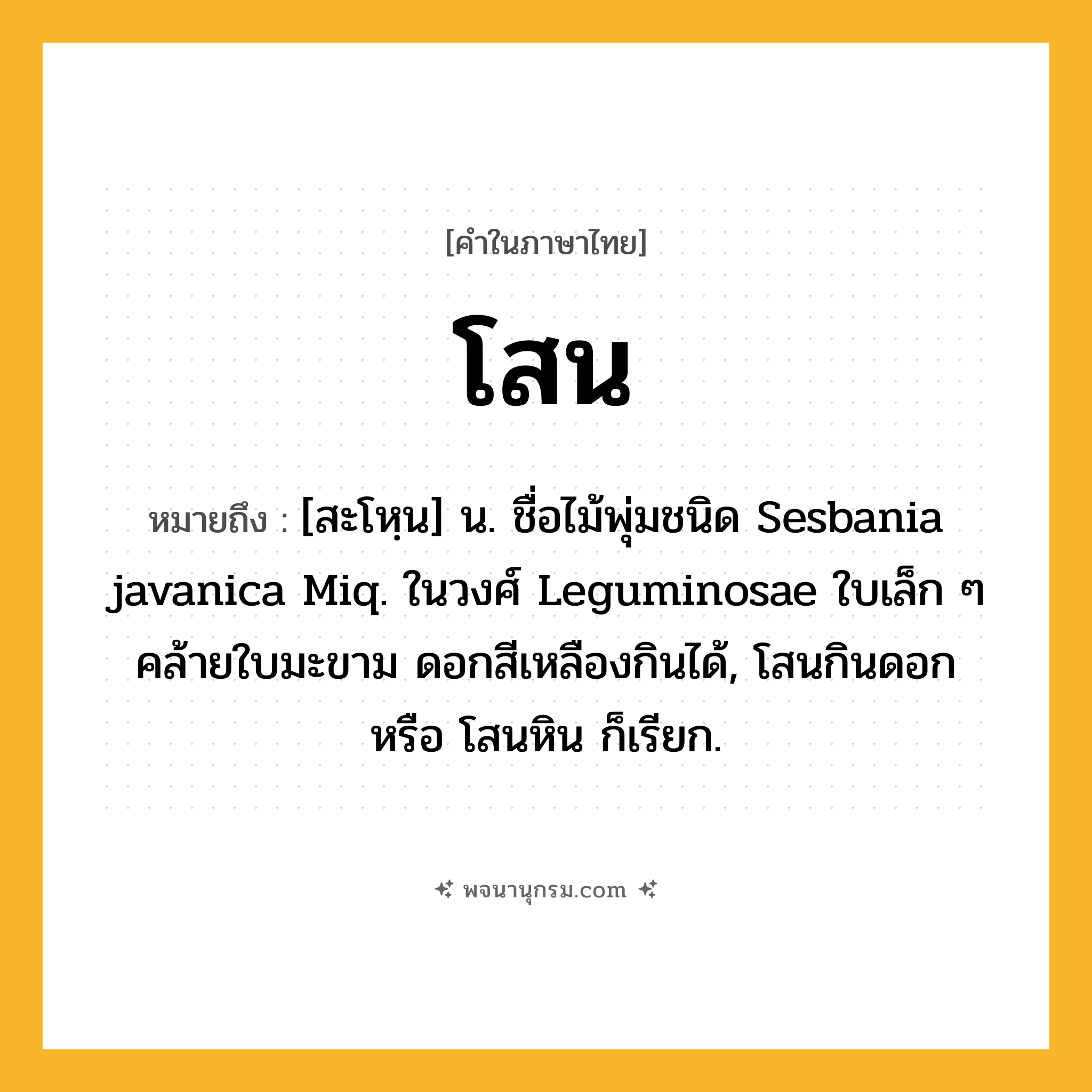 โสน ความหมาย หมายถึงอะไร?, คำในภาษาไทย โสน หมายถึง [สะโหฺน] น. ชื่อไม้พุ่มชนิด Sesbania javanica Miq. ในวงศ์ Leguminosae ใบเล็ก ๆ คล้ายใบมะขาม ดอกสีเหลืองกินได้, โสนกินดอก หรือ โสนหิน ก็เรียก.