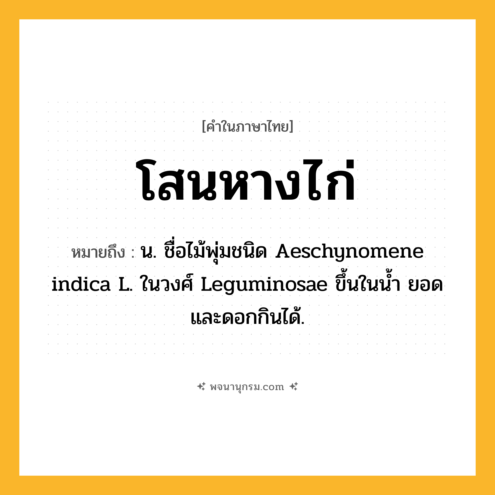 โสนหางไก่ ความหมาย หมายถึงอะไร?, คำในภาษาไทย โสนหางไก่ หมายถึง น. ชื่อไม้พุ่มชนิด Aeschynomene indica L. ในวงศ์ Leguminosae ขึ้นในน้ำ ยอดและดอกกินได้.