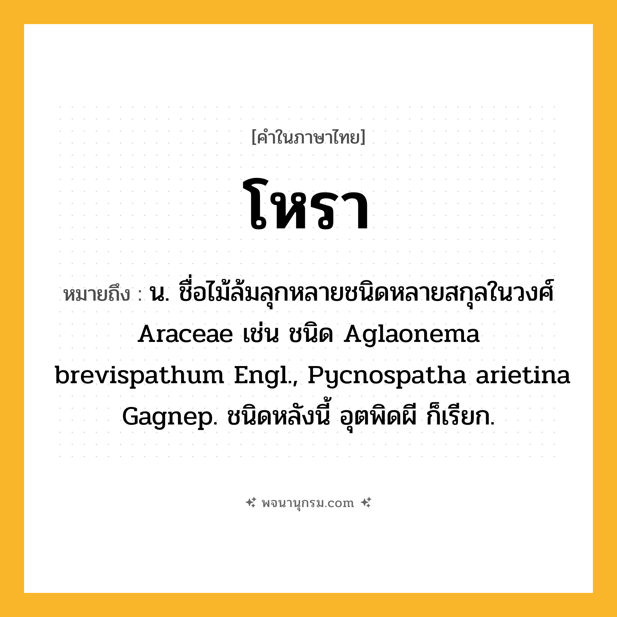 โหรา ความหมาย หมายถึงอะไร?, คำในภาษาไทย โหรา หมายถึง น. ชื่อไม้ล้มลุกหลายชนิดหลายสกุลในวงศ์ Araceae เช่น ชนิด Aglaonema brevispathum Engl., Pycnospatha arietina Gagnep. ชนิดหลังนี้ อุตพิดผี ก็เรียก.
