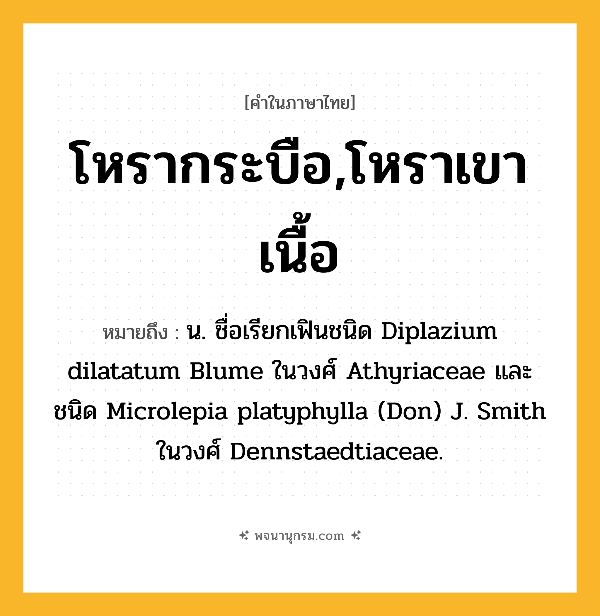 โหรากระบือ,โหราเขาเนื้อ ความหมาย หมายถึงอะไร?, คำในภาษาไทย โหรากระบือ,โหราเขาเนื้อ หมายถึง น. ชื่อเรียกเฟินชนิด Diplazium dilatatum Blume ในวงศ์ Athyriaceae และชนิด Microlepia platyphylla (Don) J. Smith ในวงศ์ Dennstaedtiaceae.