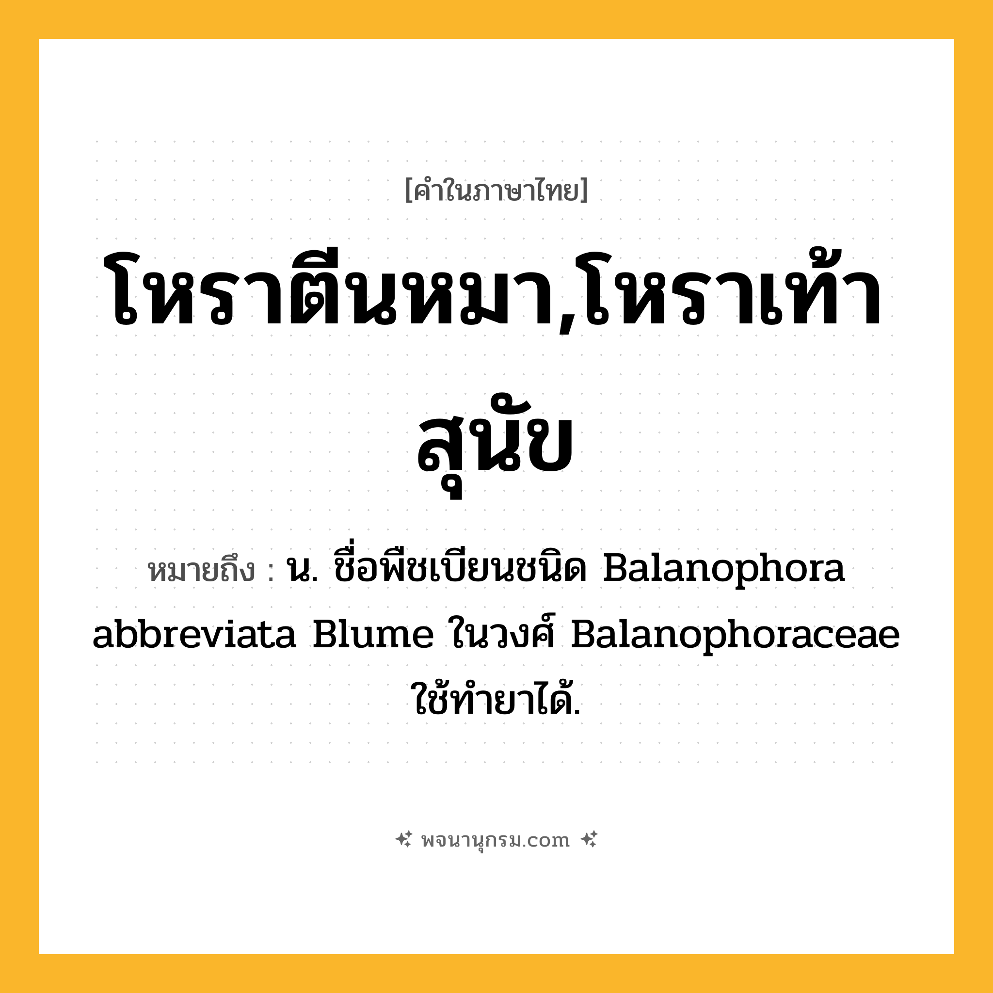 โหราตีนหมา,โหราเท้าสุนัข ความหมาย หมายถึงอะไร?, คำในภาษาไทย โหราตีนหมา,โหราเท้าสุนัข หมายถึง น. ชื่อพืชเบียนชนิด Balanophora abbreviata Blume ในวงศ์ Balanophoraceae ใช้ทํายาได้.