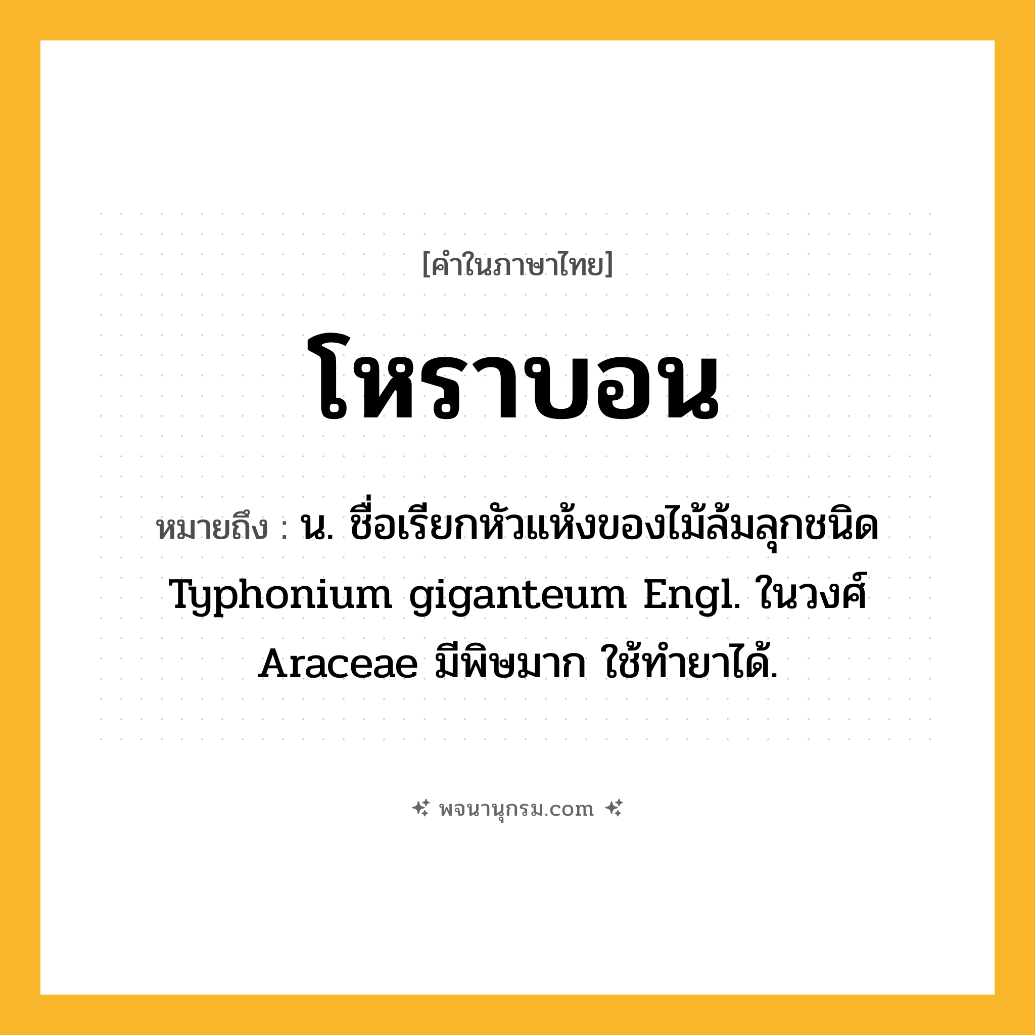 โหราบอน ความหมาย หมายถึงอะไร?, คำในภาษาไทย โหราบอน หมายถึง น. ชื่อเรียกหัวแห้งของไม้ล้มลุกชนิด Typhonium giganteum Engl. ในวงศ์ Araceae มีพิษมาก ใช้ทํายาได้.