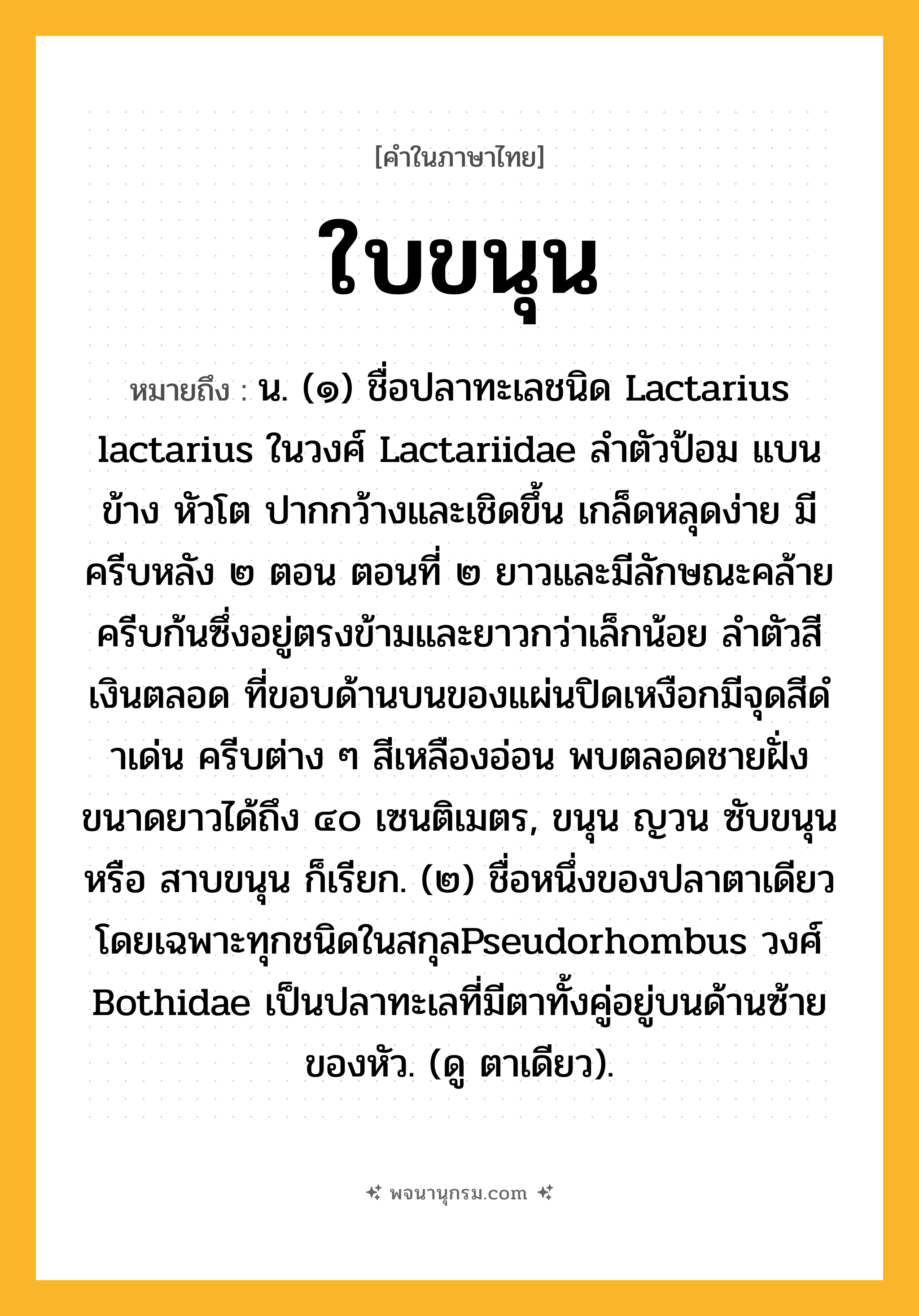 ใบขนุน ความหมาย หมายถึงอะไร?, คำในภาษาไทย ใบขนุน หมายถึง น. (๑) ชื่อปลาทะเลชนิด Lactarius lactarius ในวงศ์ Lactariidae ลําตัวป้อม แบนข้าง หัวโต ปากกว้างและเชิดขึ้น เกล็ดหลุดง่าย มีครีบหลัง ๒ ตอน ตอนที่ ๒ ยาวและมีลักษณะคล้ายครีบก้นซึ่งอยู่ตรงข้ามและยาวกว่าเล็กน้อย ลําตัวสีเงินตลอด ที่ขอบด้านบนของแผ่นปิดเหงือกมีจุดสีดําเด่น ครีบต่าง ๆ สีเหลืองอ่อน พบตลอดชายฝั่ง ขนาดยาวได้ถึง ๔๐ เซนติเมตร, ขนุน ญวน ซับขนุน หรือ สาบขนุน ก็เรียก. (๒) ชื่อหนึ่งของปลาตาเดียวโดยเฉพาะทุกชนิดในสกุลPseudorhombus วงศ์ Bothidae เป็นปลาทะเลที่มีตาทั้งคู่อยู่บนด้านซ้ายของหัว. (ดู ตาเดียว).