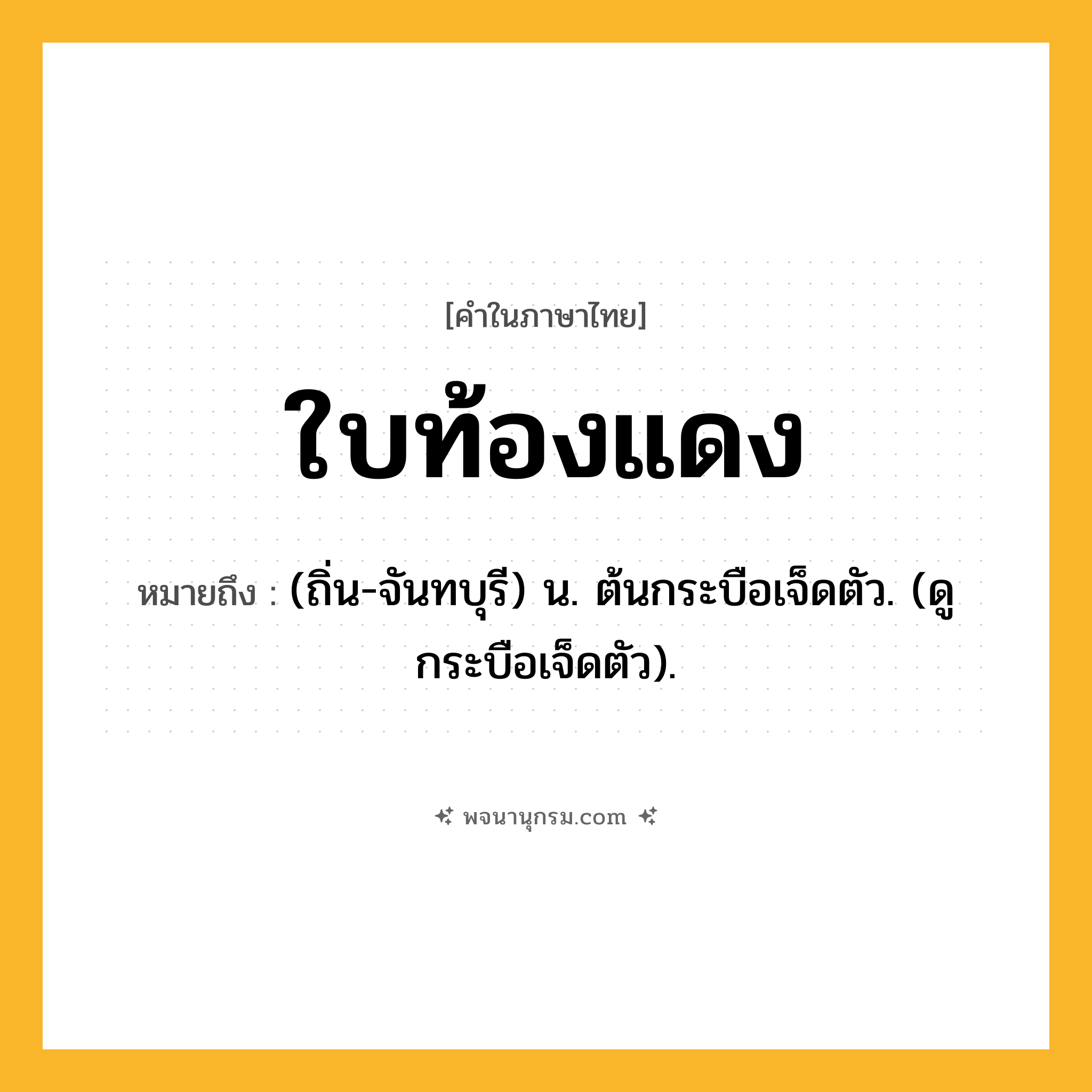 ใบท้องแดง ความหมาย หมายถึงอะไร?, คำในภาษาไทย ใบท้องแดง หมายถึง (ถิ่น-จันทบุรี) น. ต้นกระบือเจ็ดตัว. (ดู กระบือเจ็ดตัว).