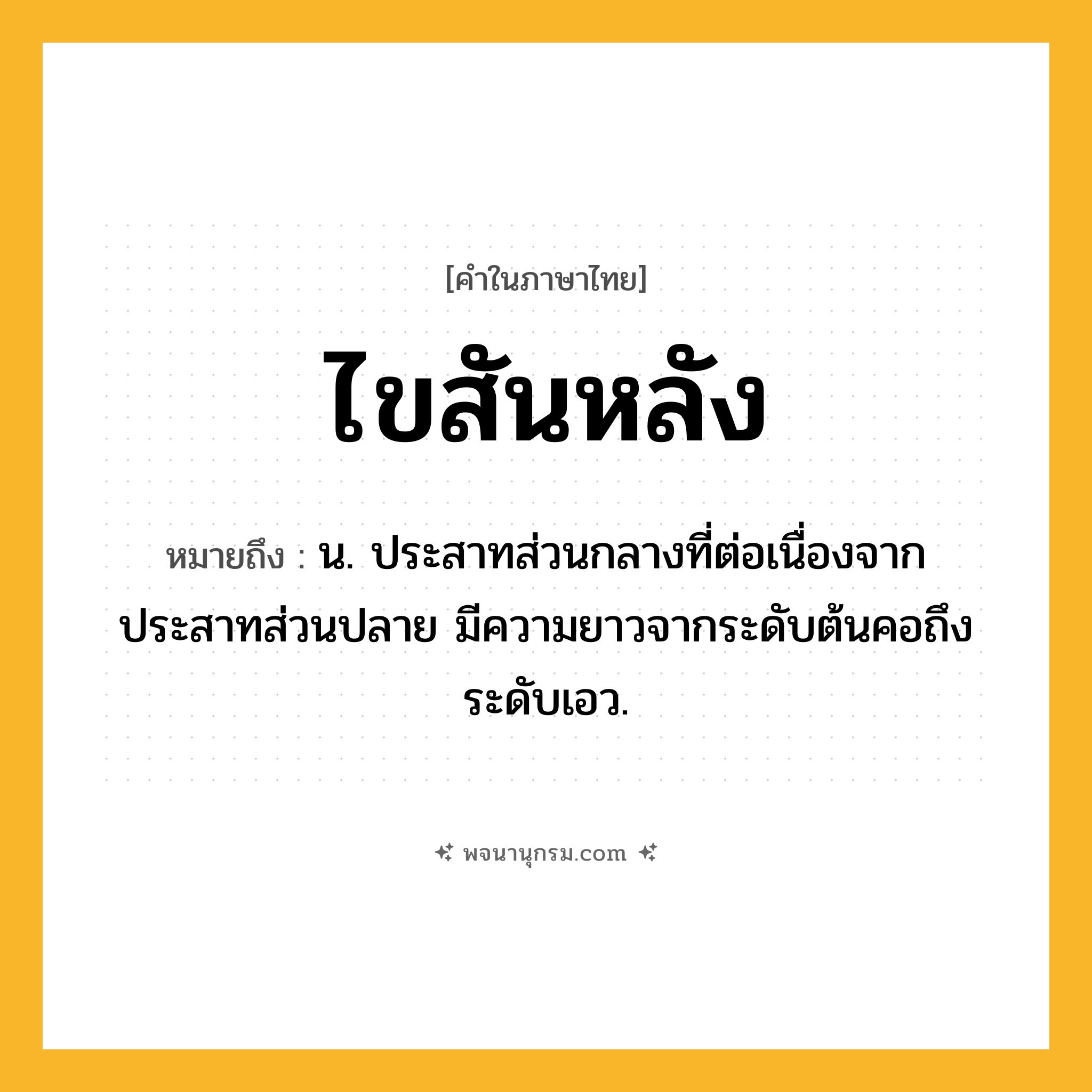 ไขสันหลัง ความหมาย หมายถึงอะไร?, คำในภาษาไทย ไขสันหลัง หมายถึง น. ประสาทส่วนกลางที่ต่อเนื่องจากประสาทส่วนปลาย มีความยาวจากระดับต้นคอถึงระดับเอว.