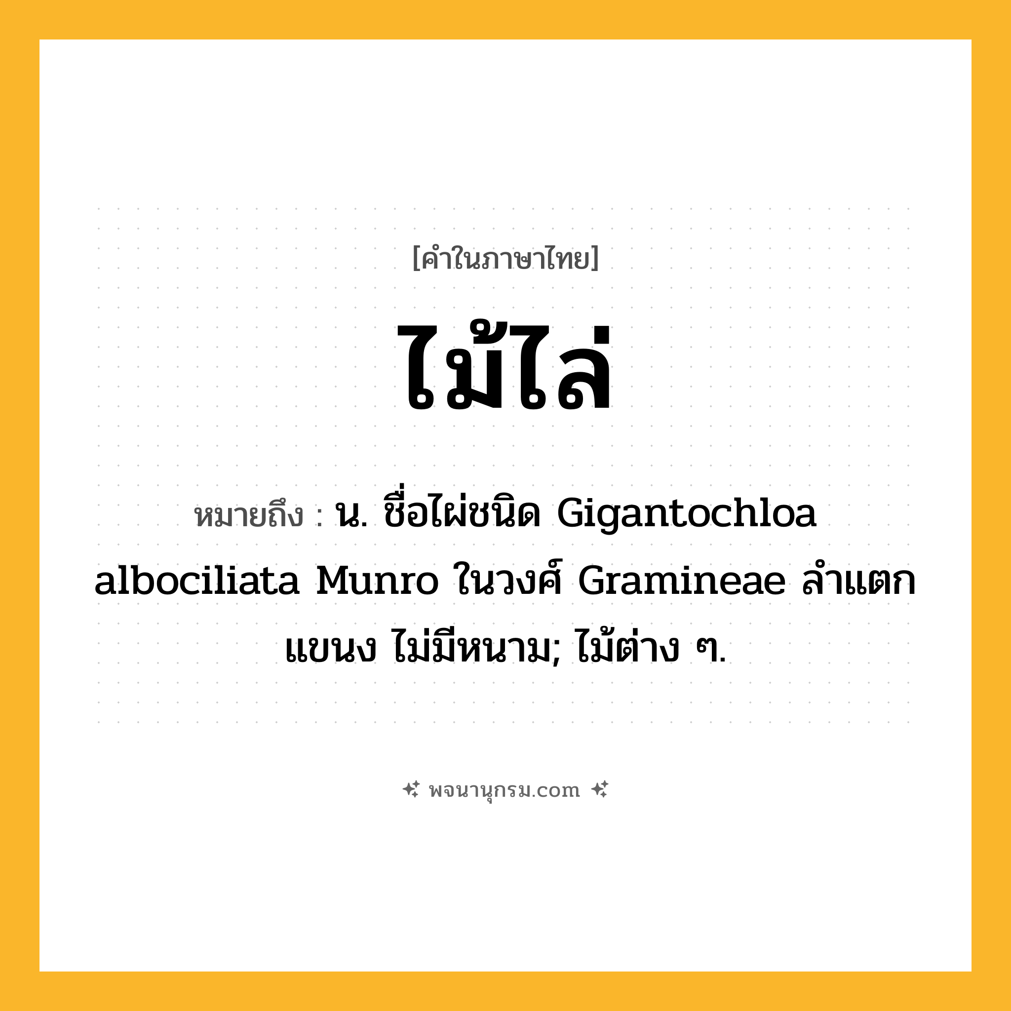 ไม้ไล่ ความหมาย หมายถึงอะไร?, คำในภาษาไทย ไม้ไล่ หมายถึง น. ชื่อไผ่ชนิด Gigantochloa albociliata Munro ในวงศ์ Gramineae ลําแตกแขนง ไม่มีหนาม; ไม้ต่าง ๆ.