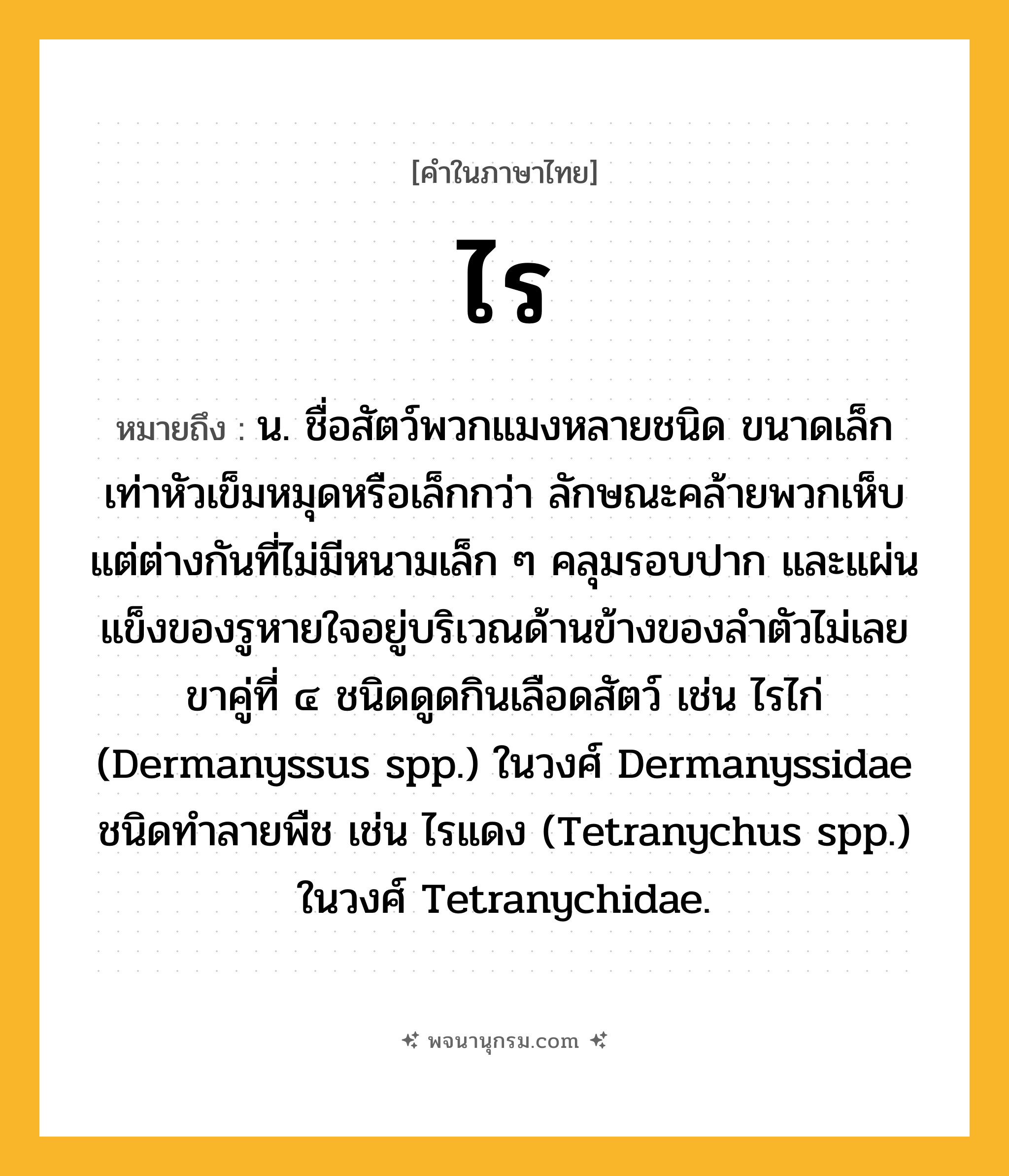 ไร ความหมาย หมายถึงอะไร?, คำในภาษาไทย ไร หมายถึง น. ชื่อสัตว์พวกแมงหลายชนิด ขนาดเล็กเท่าหัวเข็มหมุดหรือเล็กกว่า ลักษณะคล้ายพวกเห็บแต่ต่างกันที่ไม่มีหนามเล็ก ๆ คลุมรอบปาก และแผ่นแข็งของรูหายใจอยู่บริเวณด้านข้างของลําตัวไม่เลยขาคู่ที่ ๔ ชนิดดูดกินเลือดสัตว์ เช่น ไรไก่ (Dermanyssus spp.) ในวงศ์ Dermanyssidae ชนิดทําลายพืช เช่น ไรแดง (Tetranychus spp.) ในวงศ์ Tetranychidae.