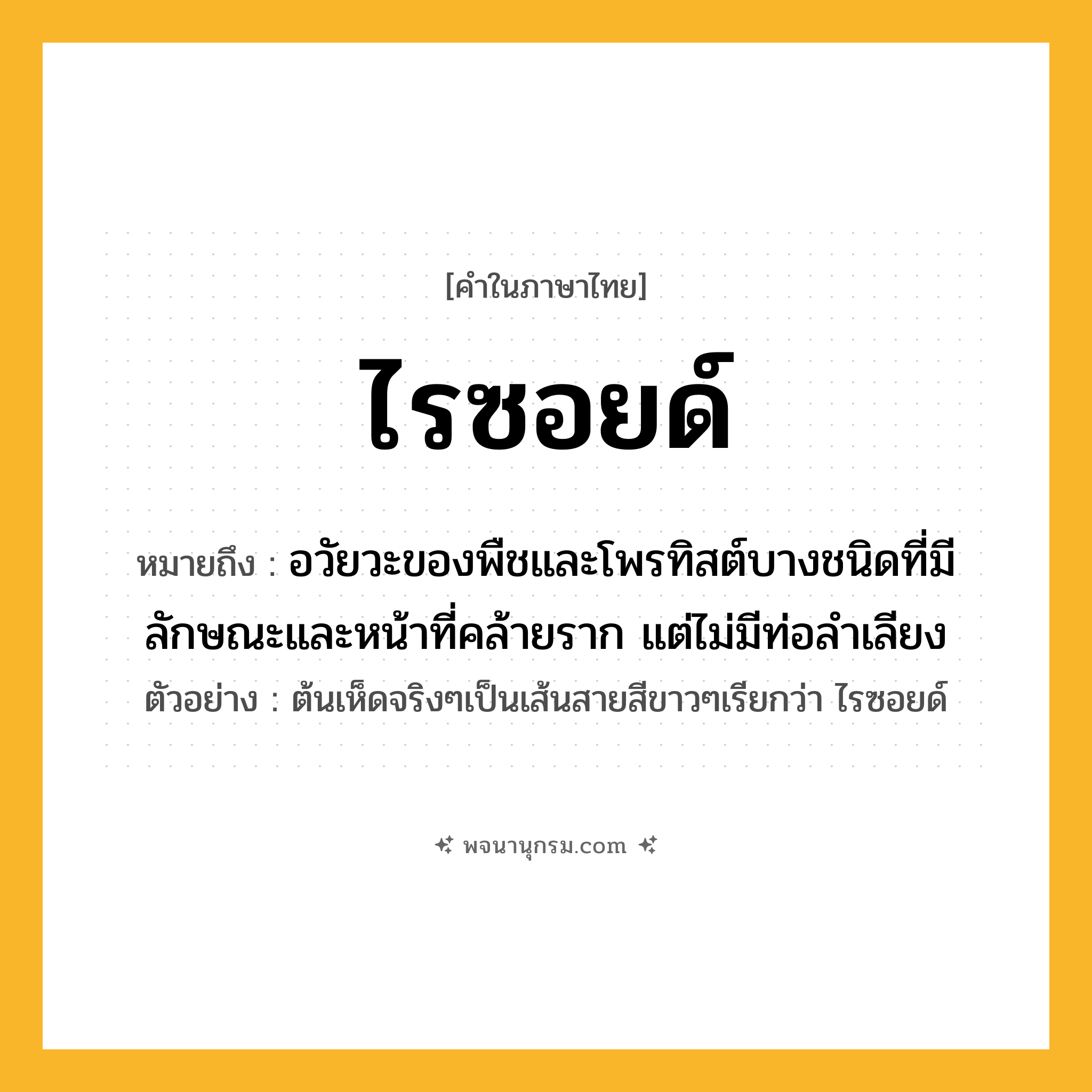ไรซอยด์ ความหมาย หมายถึงอะไร?, คำในภาษาไทย ไรซอยด์ หมายถึง อวัยวะของพืชและโพรทิสต์บางชนิดที่มีลักษณะและหน้าที่คล้ายราก แต่ไม่มีท่อลำเลียง ตัวอย่าง ต้นเห็ดจริงๆเป็นเส้นสายสีขาวๆเรียกว่า ไรซอยด์