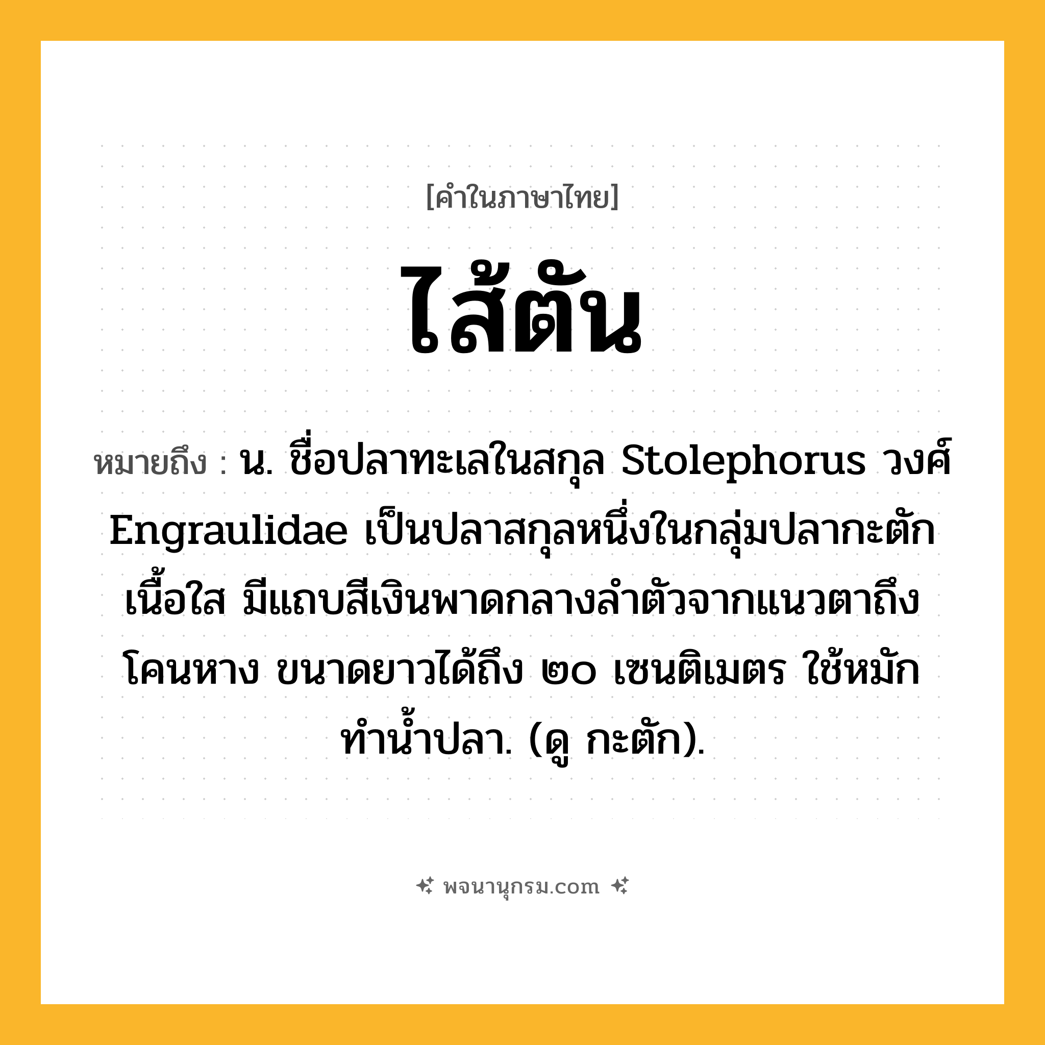 ไส้ตัน ความหมาย หมายถึงอะไร?, คำในภาษาไทย ไส้ตัน หมายถึง น. ชื่อปลาทะเลในสกุล Stolephorus วงศ์ Engraulidae เป็นปลาสกุลหนึ่งในกลุ่มปลากะตัก เนื้อใส มีแถบสีเงินพาดกลางลําตัวจากแนวตาถึงโคนหาง ขนาดยาวได้ถึง ๒๐ เซนติเมตร ใช้หมักทํานํ้าปลา. (ดู กะตัก).