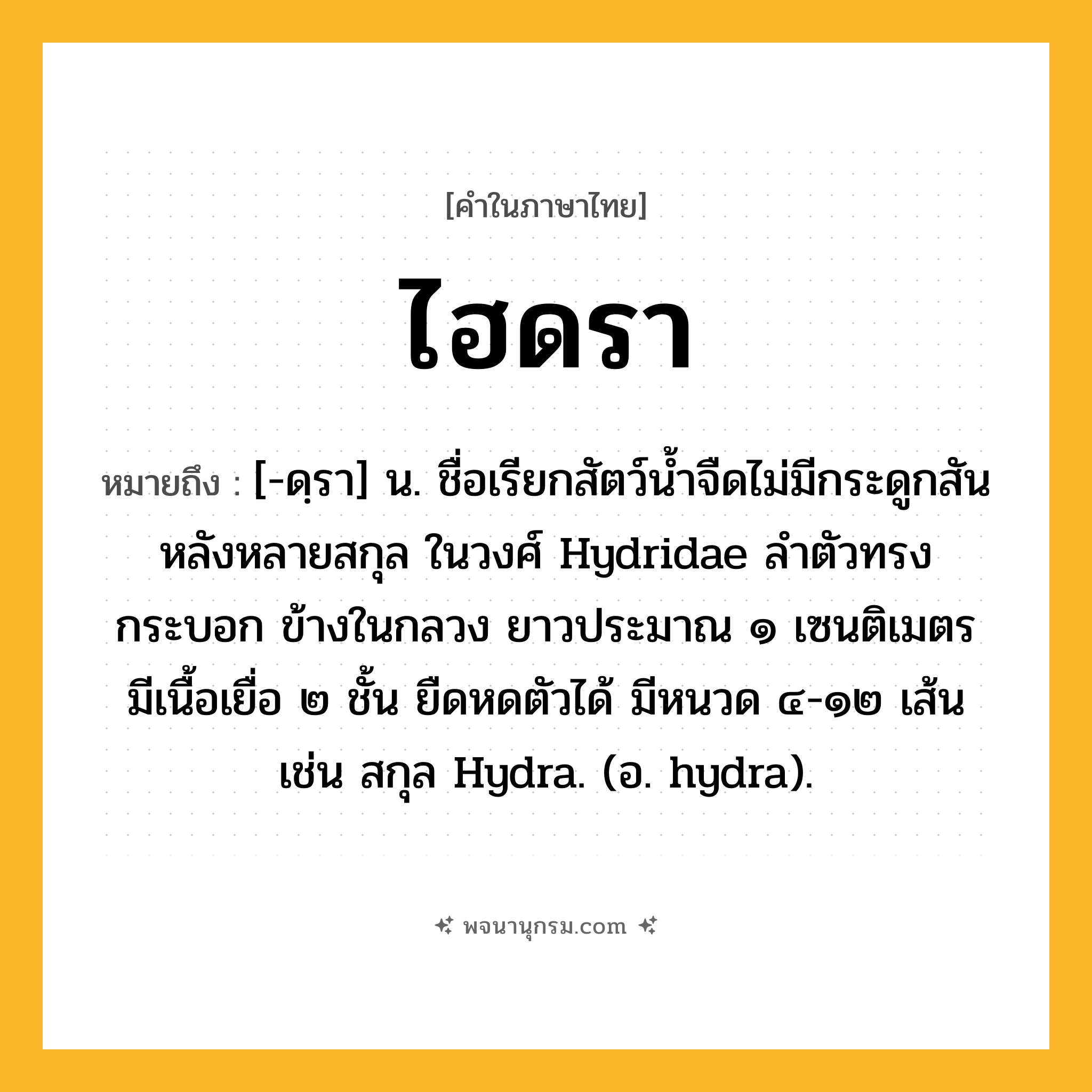 ไฮดรา ความหมาย หมายถึงอะไร?, คำในภาษาไทย ไฮดรา หมายถึง [-ดฺรา] น. ชื่อเรียกสัตว์นํ้าจืดไม่มีกระดูกสันหลังหลายสกุล ในวงศ์ Hydridae ลําตัวทรงกระบอก ข้างในกลวง ยาวประมาณ ๑ เซนติเมตร มีเนื้อเยื่อ ๒ ชั้น ยืดหดตัวได้ มีหนวด ๔-๑๒ เส้น เช่น สกุล Hydra. (อ. hydra).